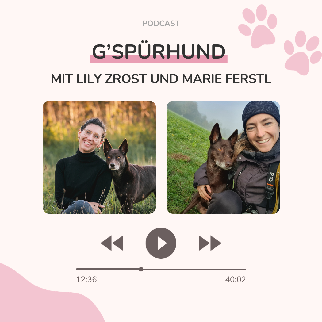 Welche Ausstattung braucht mein Hund mit Marie Ferstl! S2E1