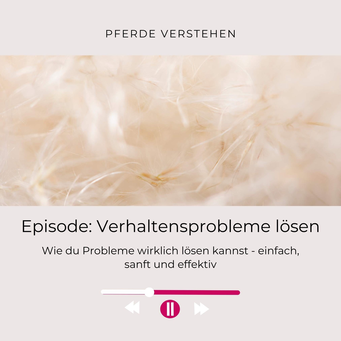 Verhaltensprobleme beim Pferd lösen
