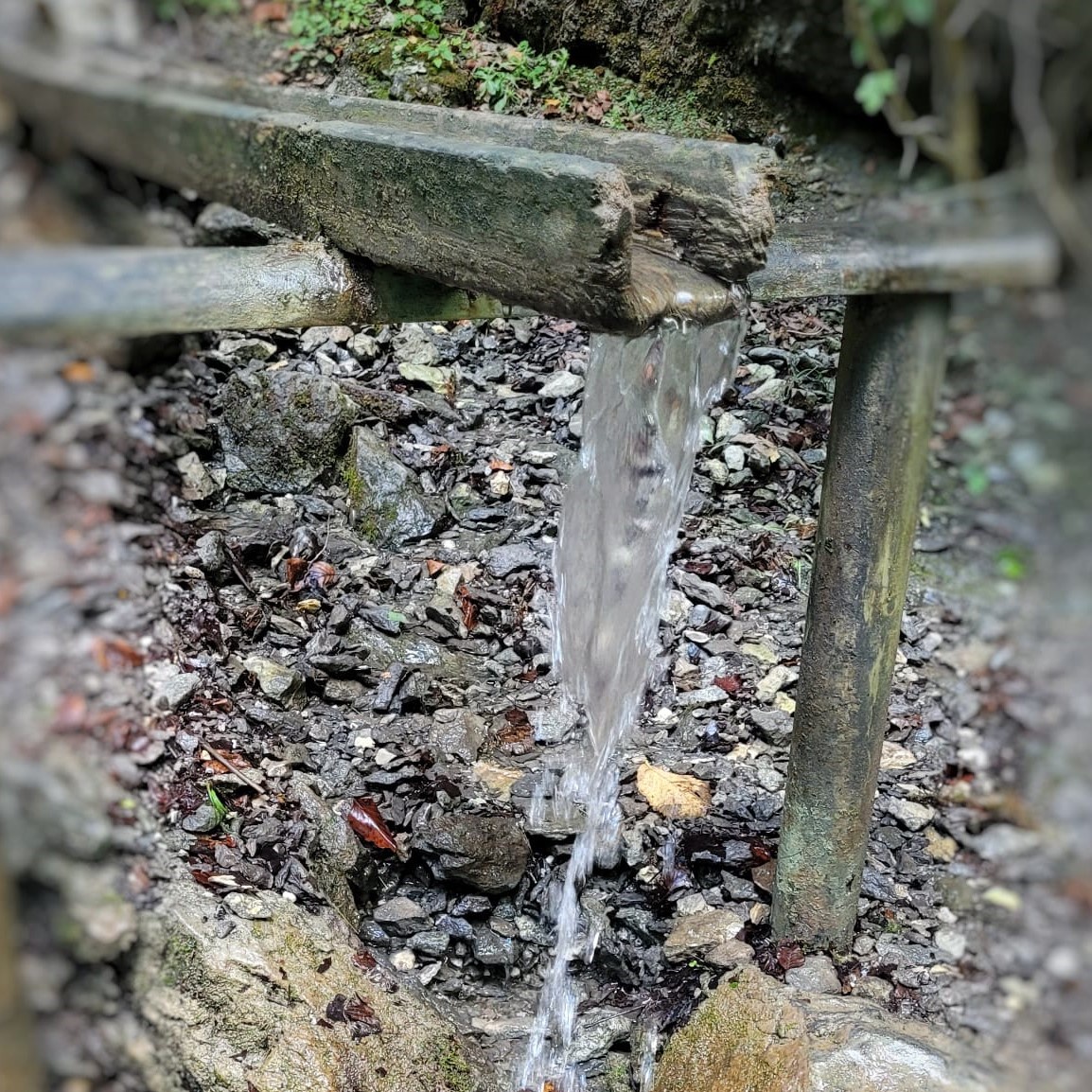 Umsonst - lebendiges frisches Wasser!