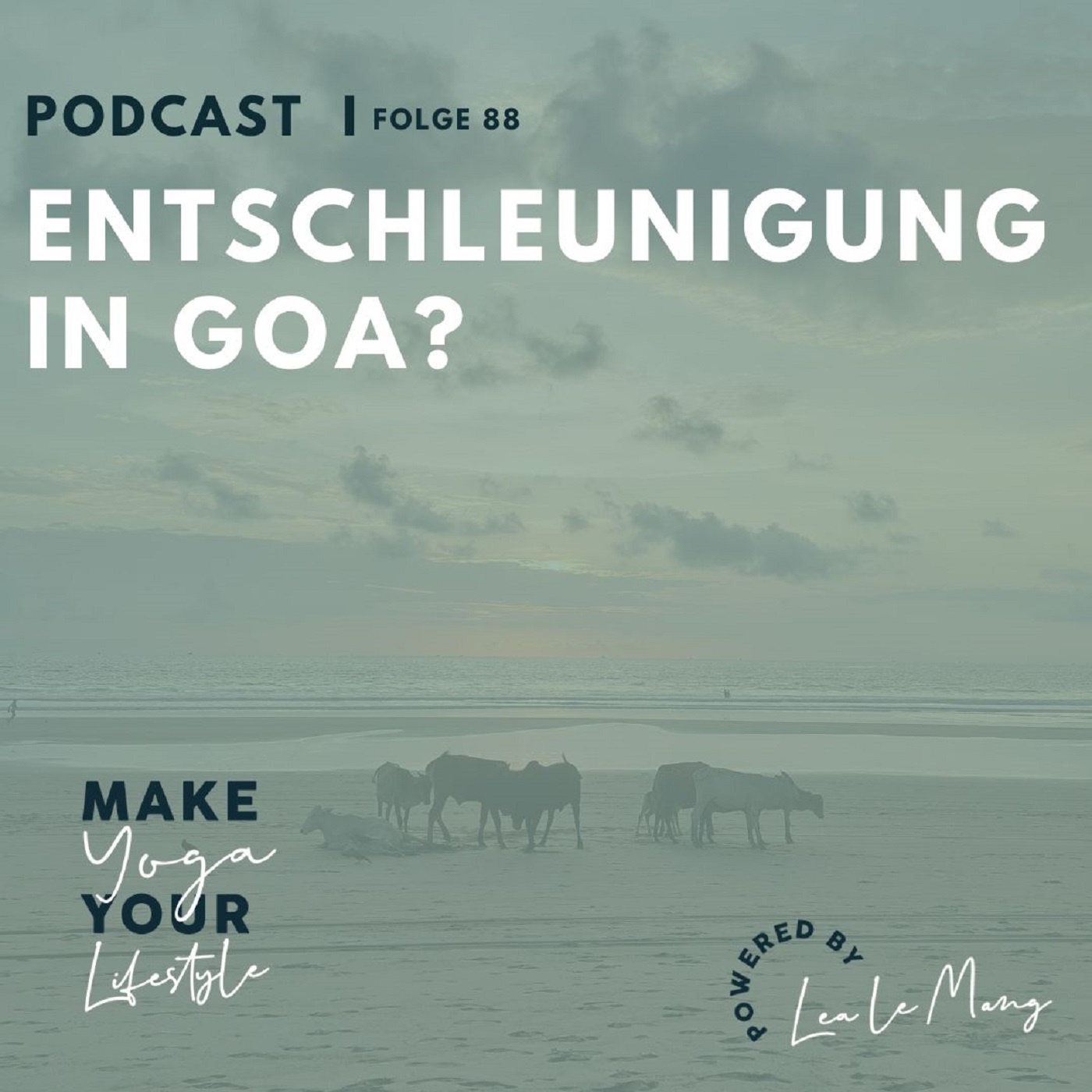 88 - Entschleunigung in Goa?