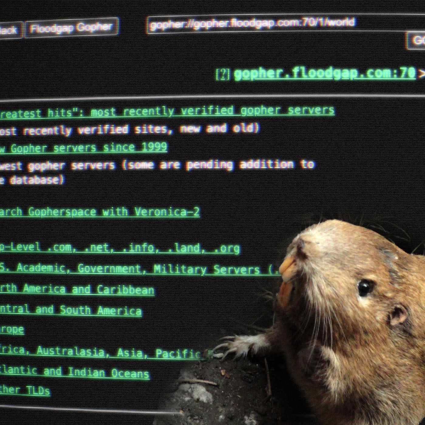 Surfen mit Lynx im Gopherspace