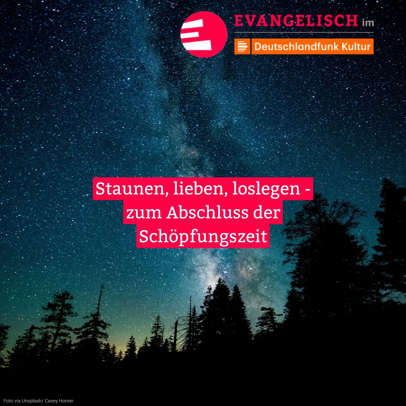 Staunen, lieben, loslegen - zum Abschluss der Schöpfungszeit