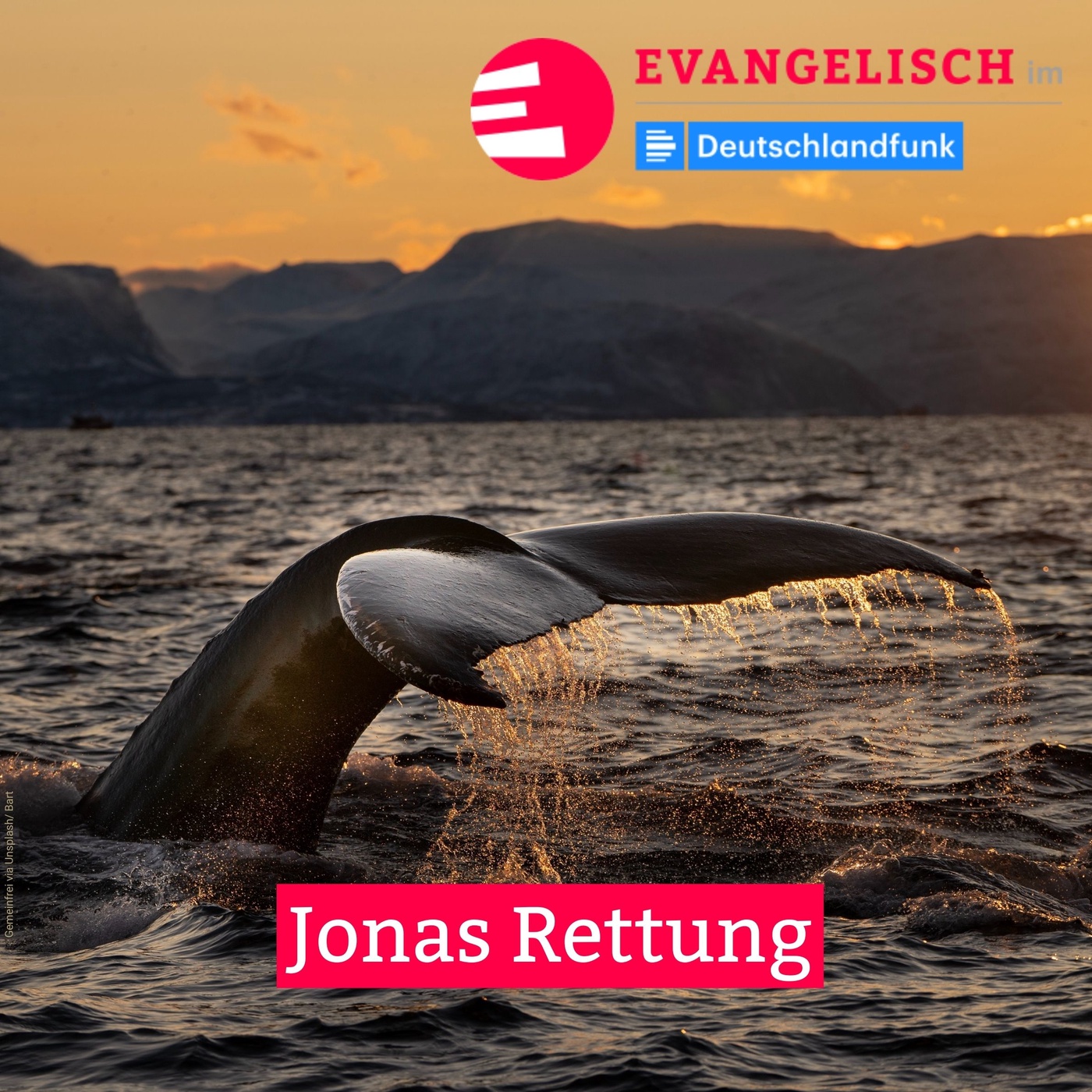 Jonas Rettung