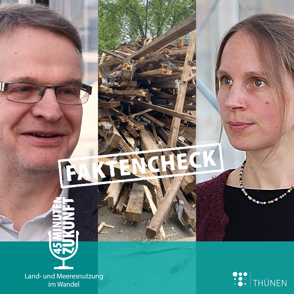 FAKTENCHECK: Holznutzung – Können wir mit Holzprodukten das Klima schützen? 