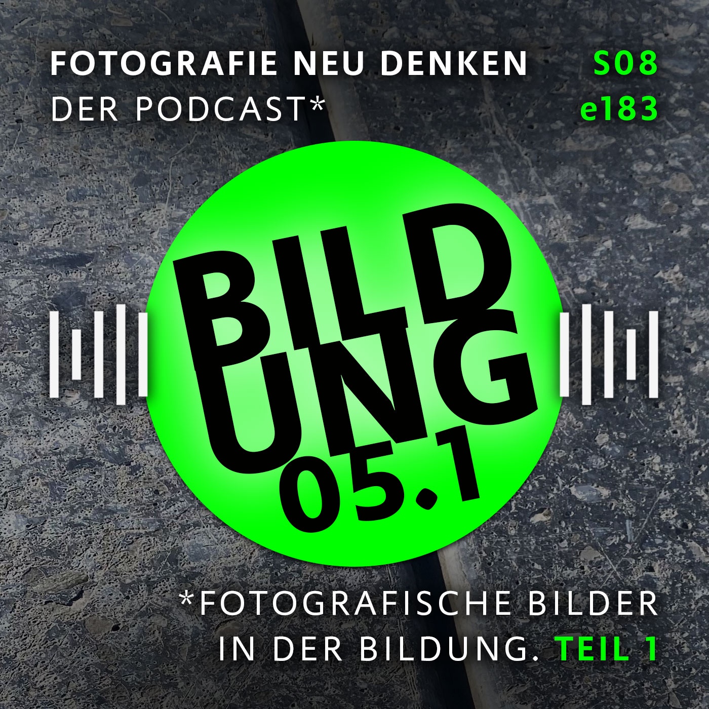 e183 Fotografische Bilder in der Bildung. Teil 1