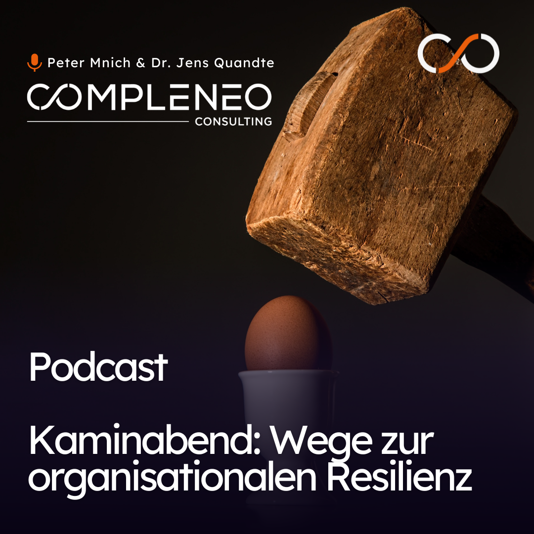 Kaminabend: Wege zur organisationalen Resilienz