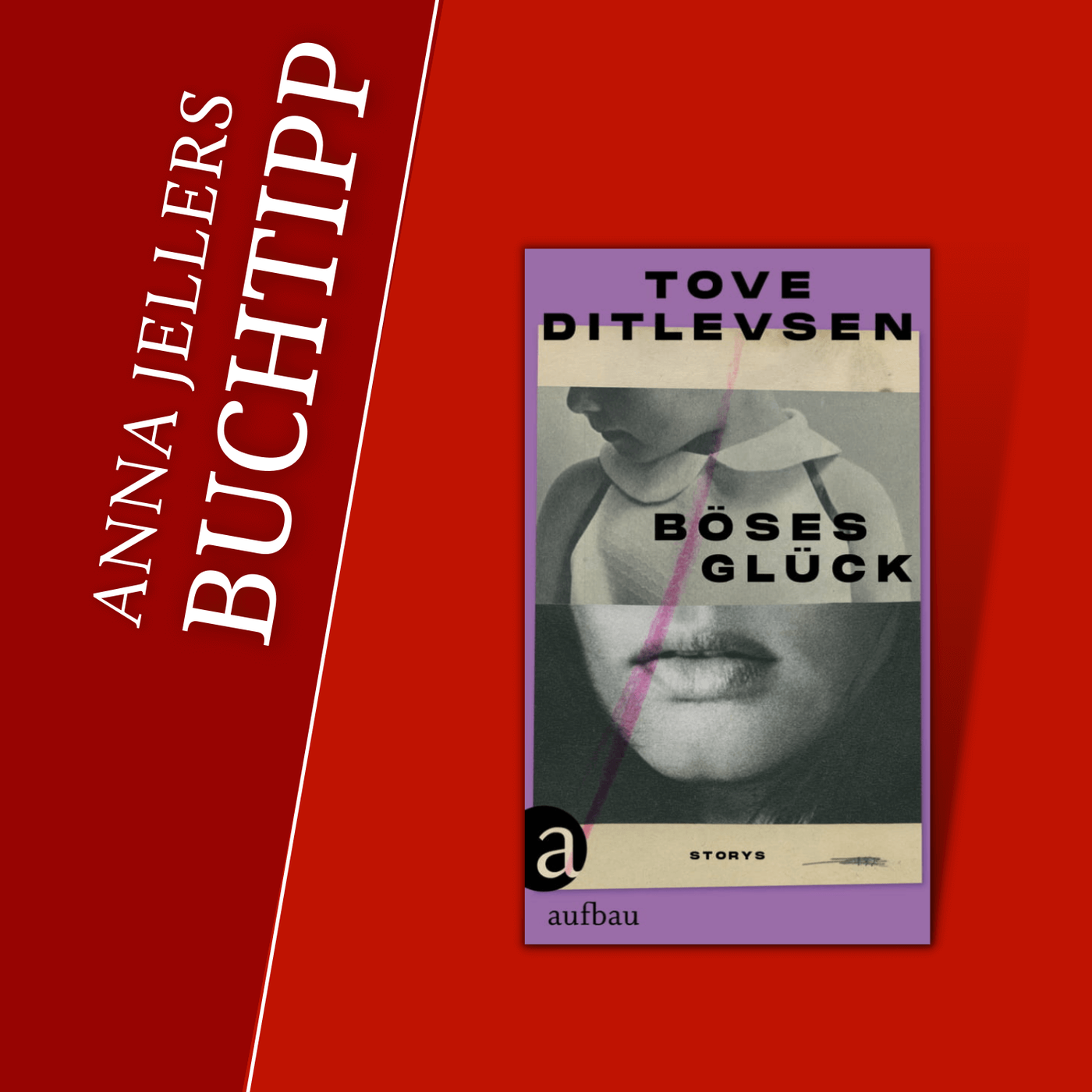 Anna Jellers Buchtipp | Tove Ditlevsen: Böses Glück