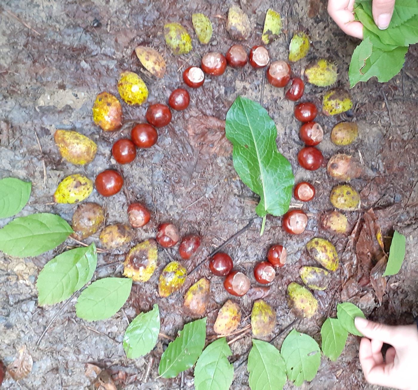 Waldökosysteme im Klimawandel