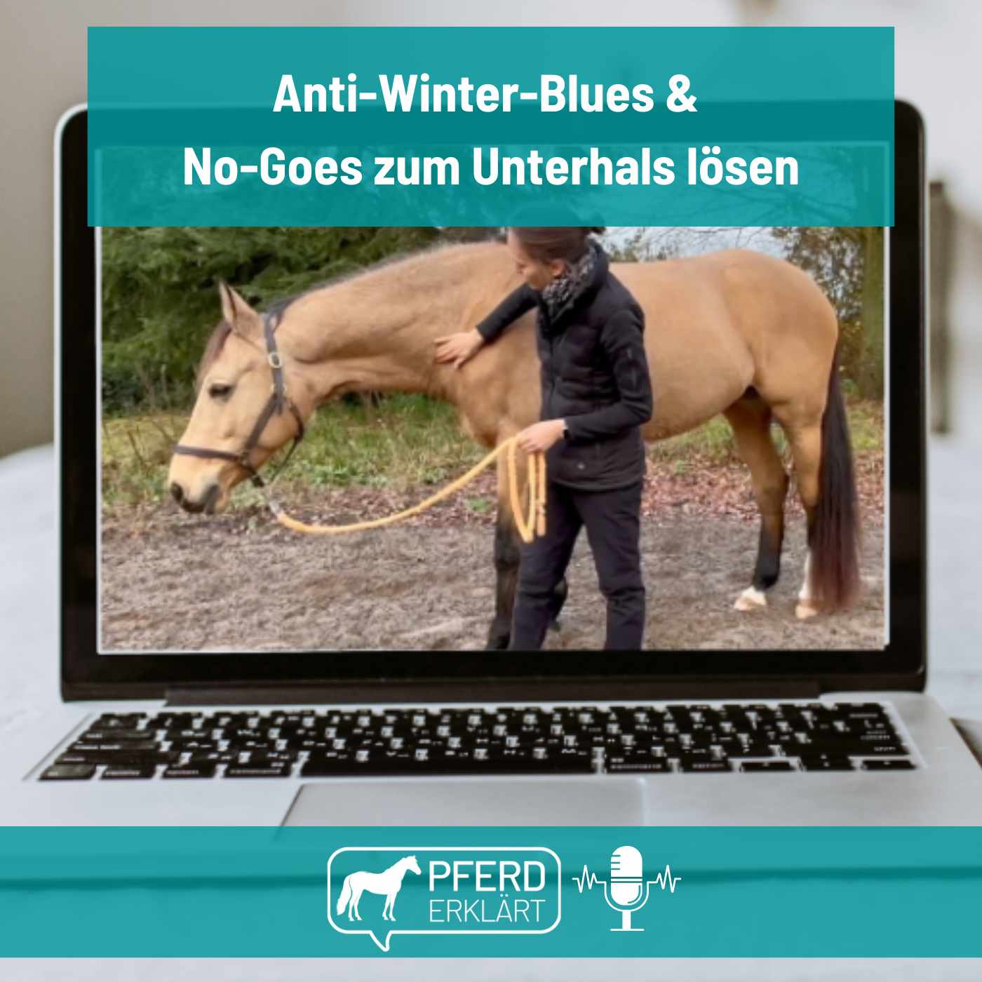Anti-Winter-Blues & No-Goes zum Unterhals lösen