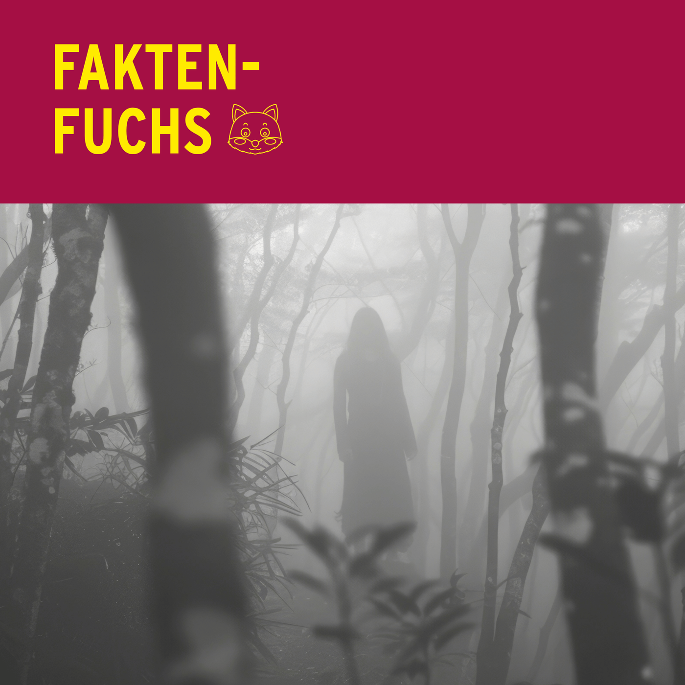 Faktenfuchs: Geister