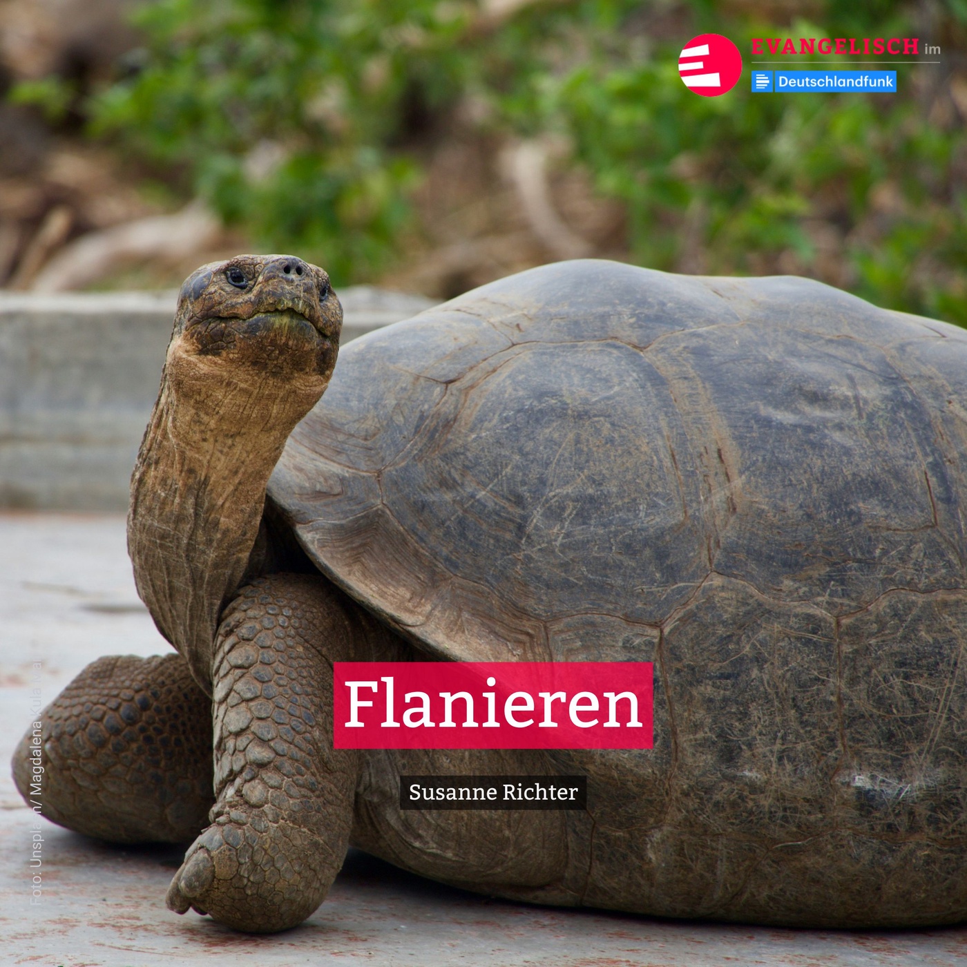 Flanieren