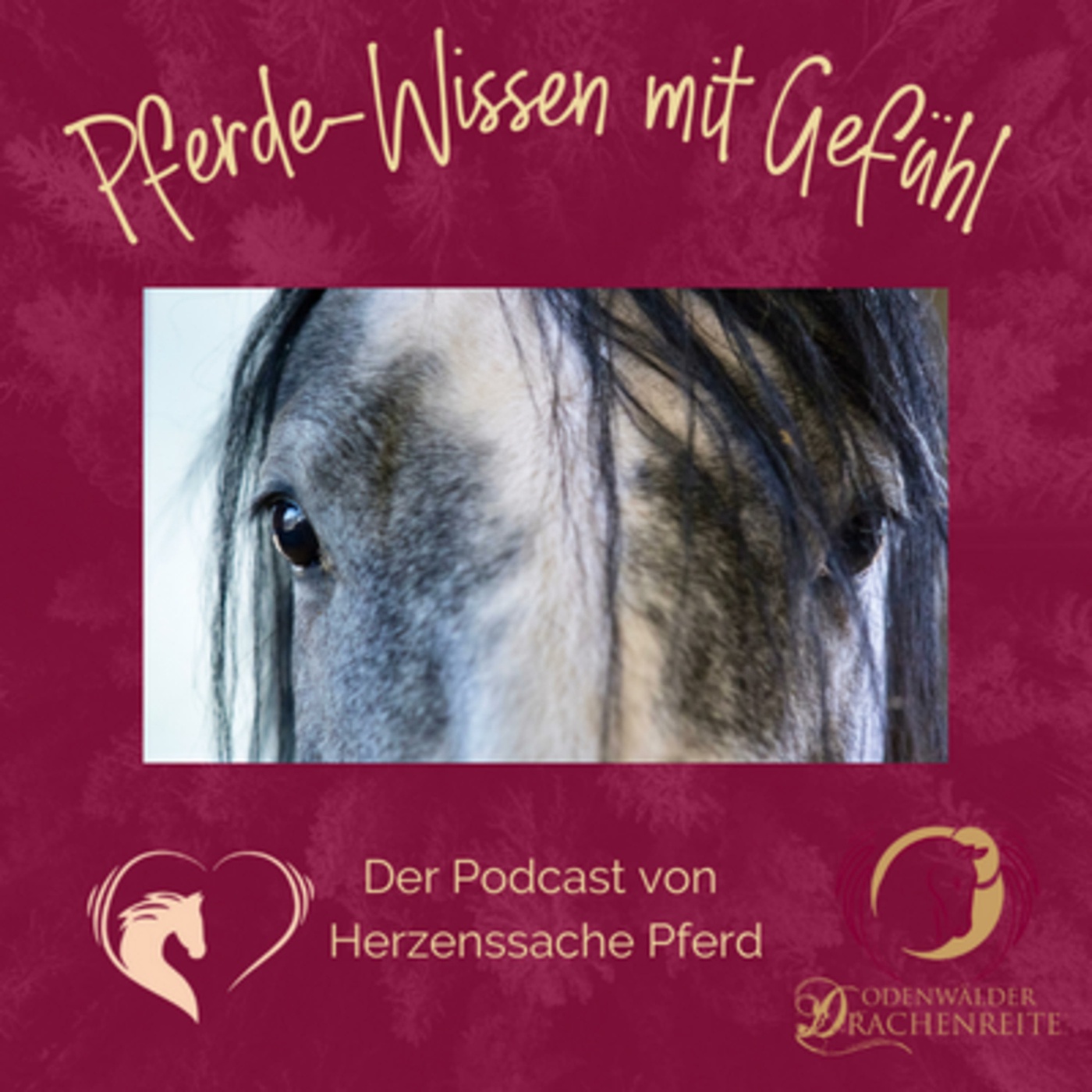 Alex Zell & Nina Bargum: warum Find the Flow die Vaquero Classics abgelöst hat