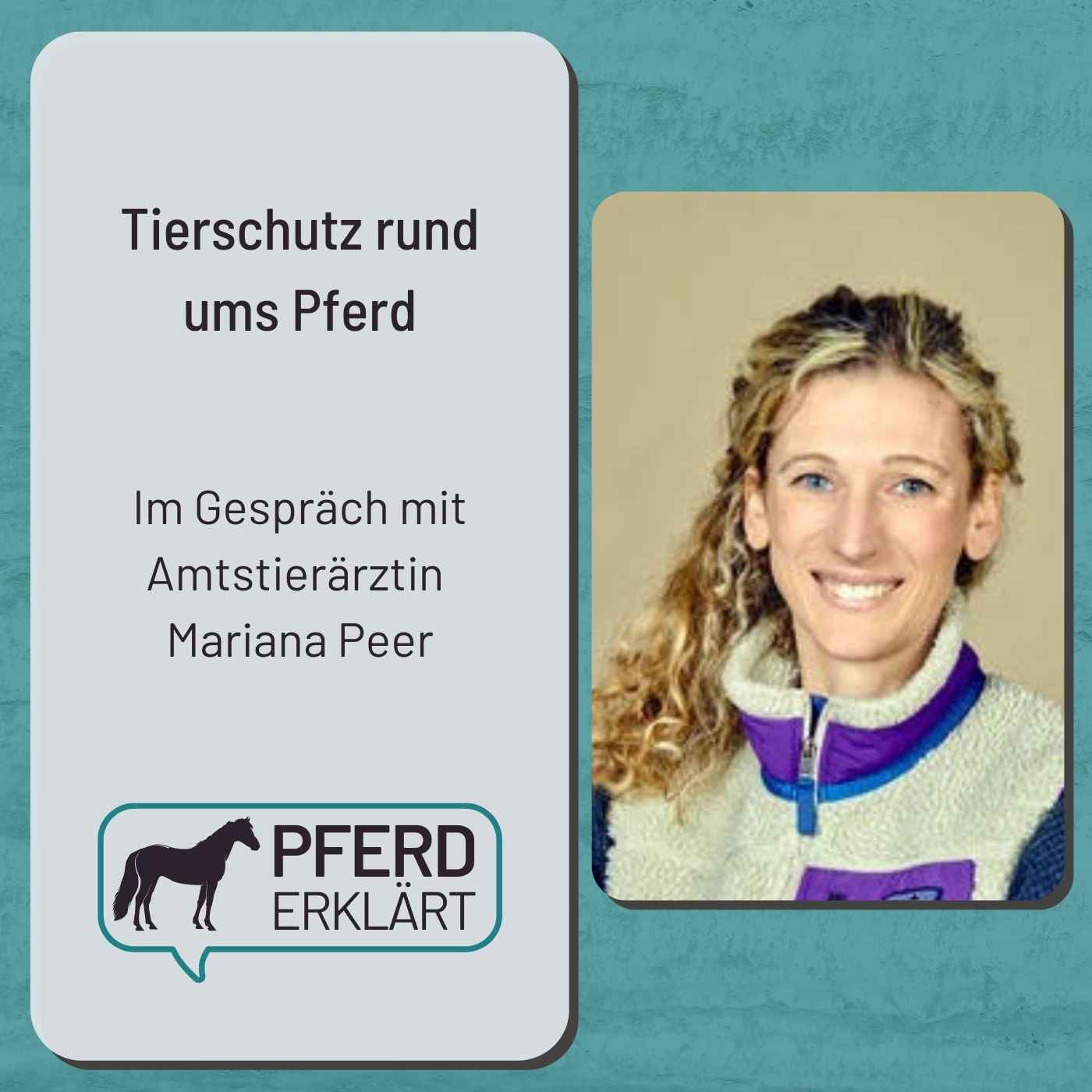 Tierschutz rund ums Pferd: Gespräch mit Amtstierärztin Mariana Peer