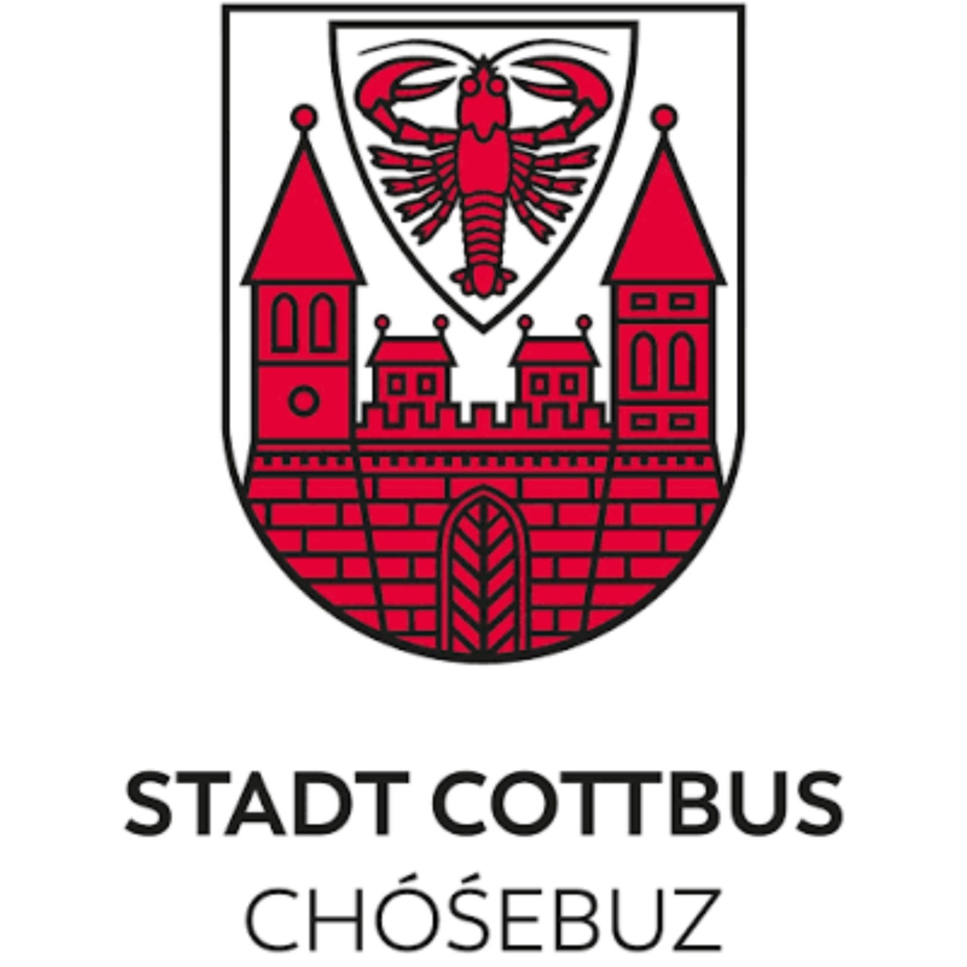 Corona-Ausschuss in Cottbus