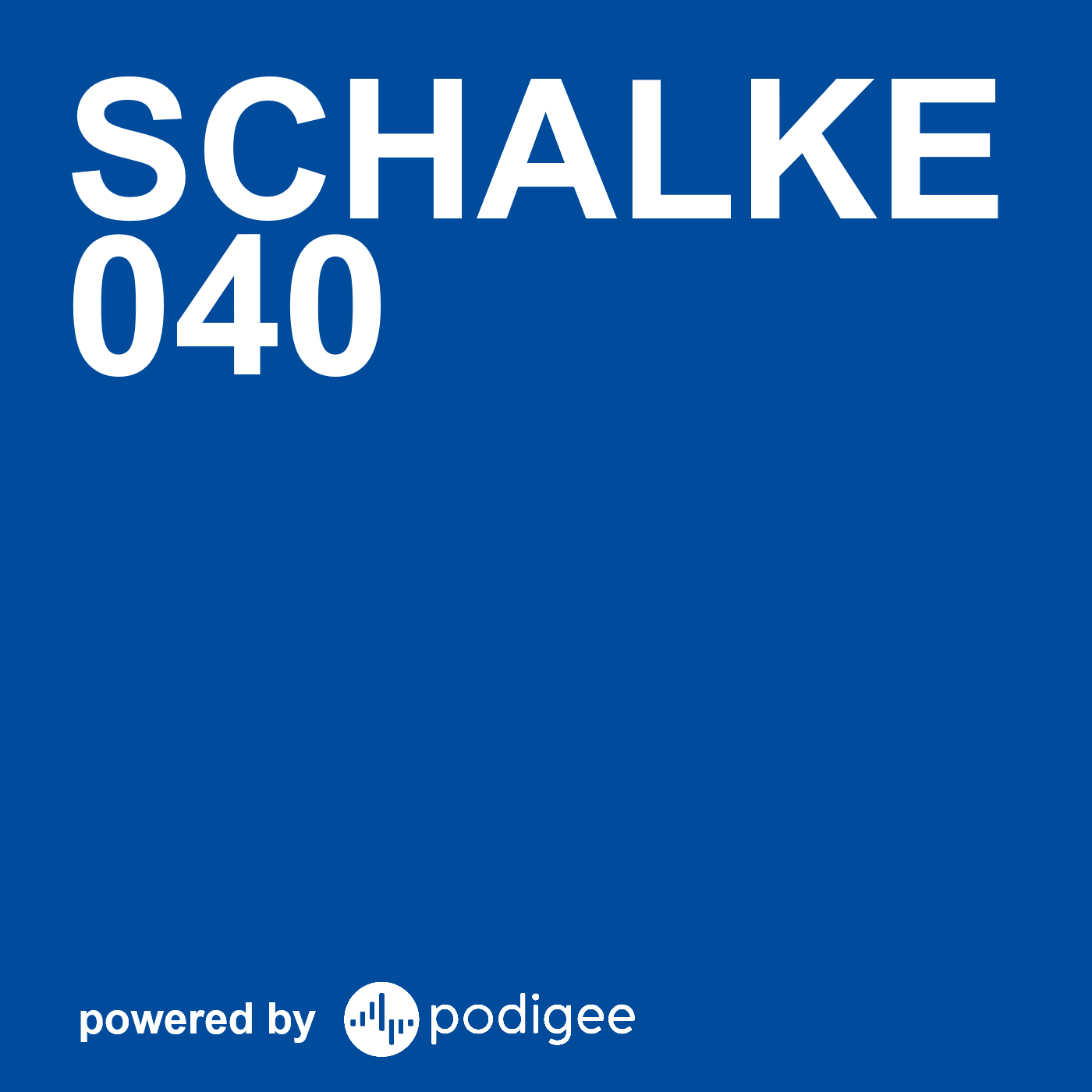 Schalke 040