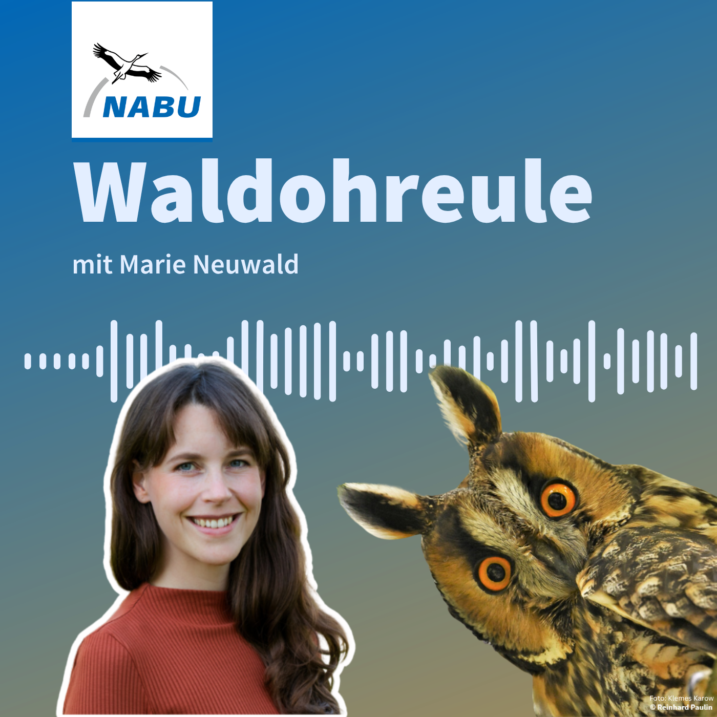 Der Wolf in Deutschland: Ein Gespräch mit Wolfs-Expertin Marie Neuwald