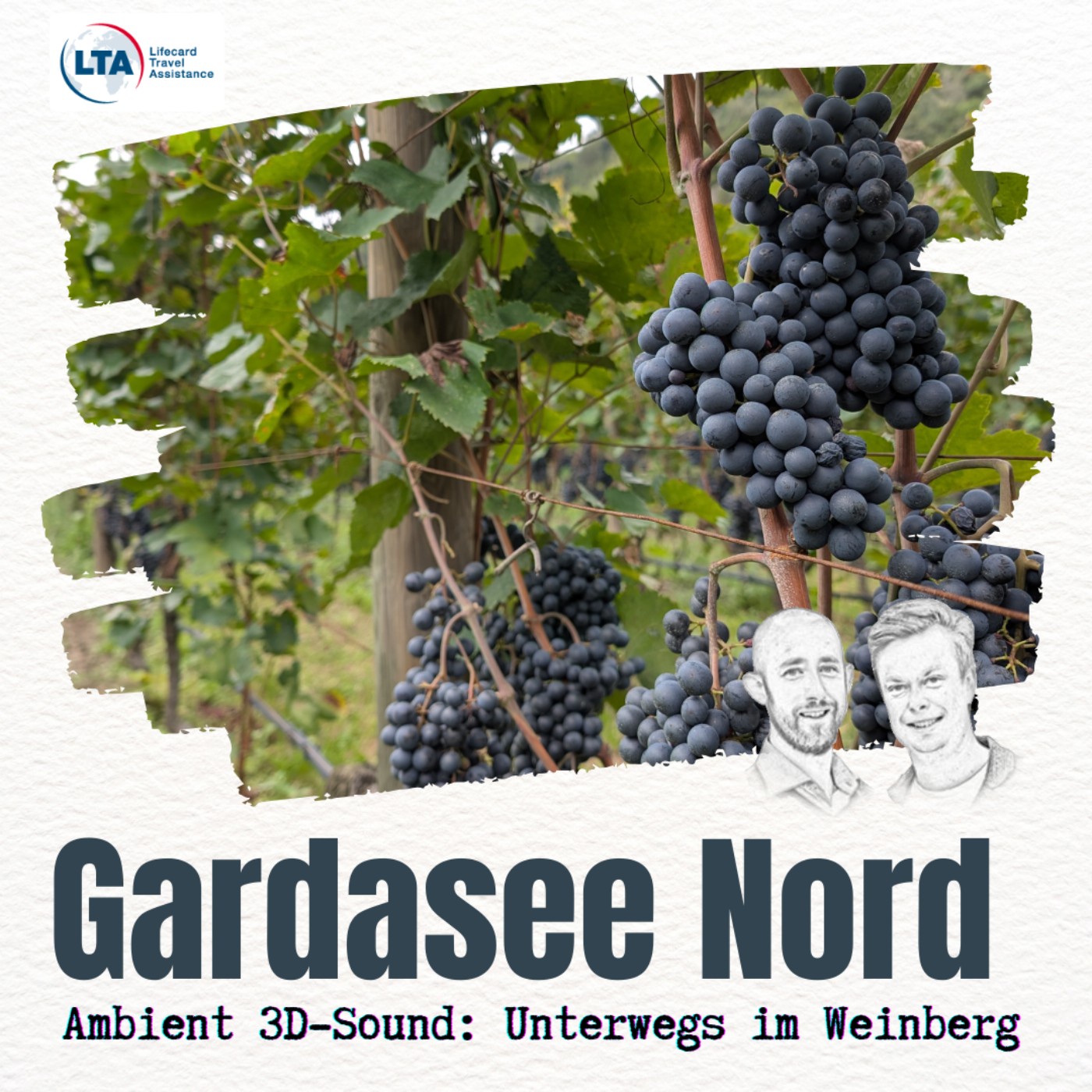 Weinberg-ASMR: Ambient 3D-Sound zum Einschlafen