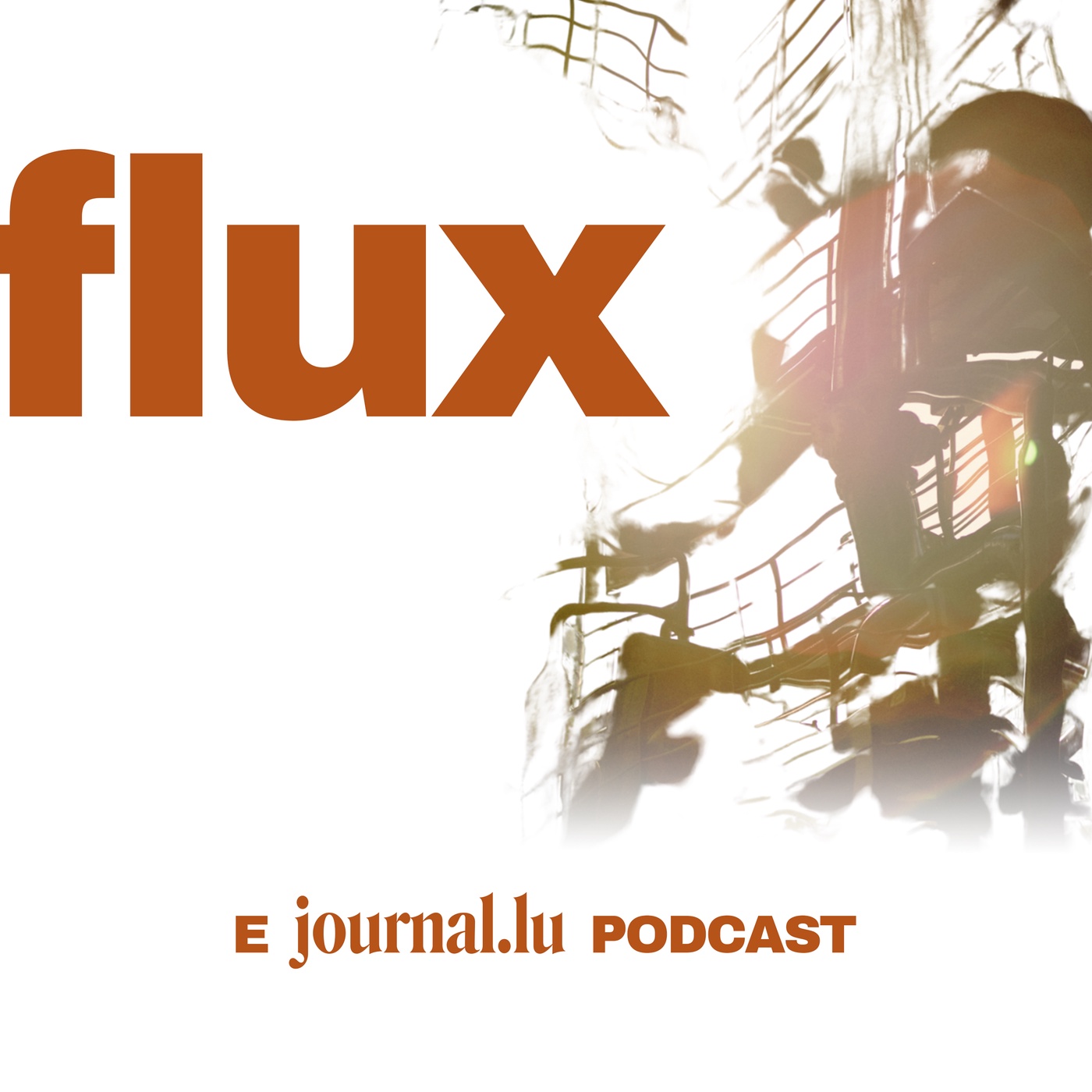 S01E03 - D'Fauscht op den Dësch