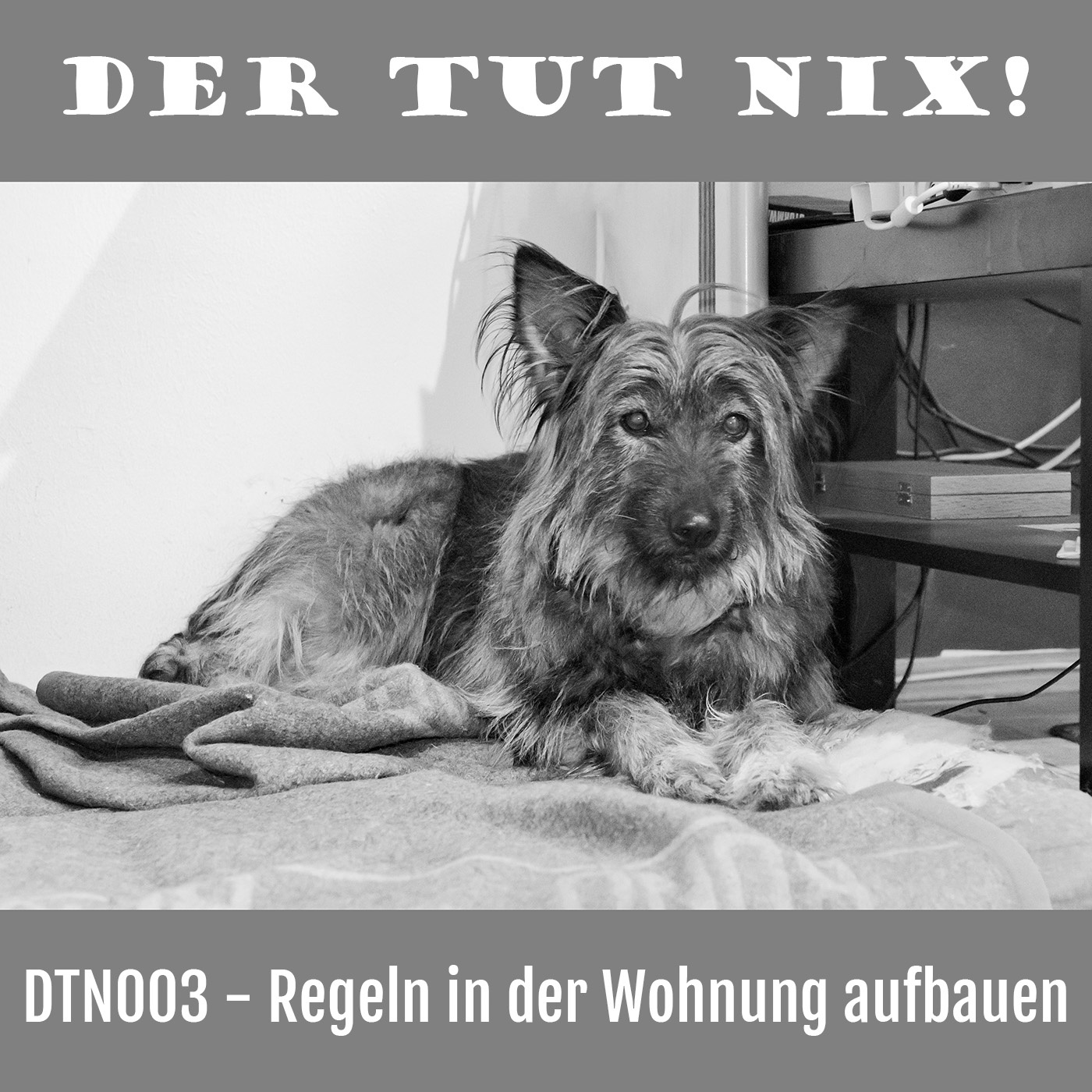 DTN003 - Regeln in der Wohnung