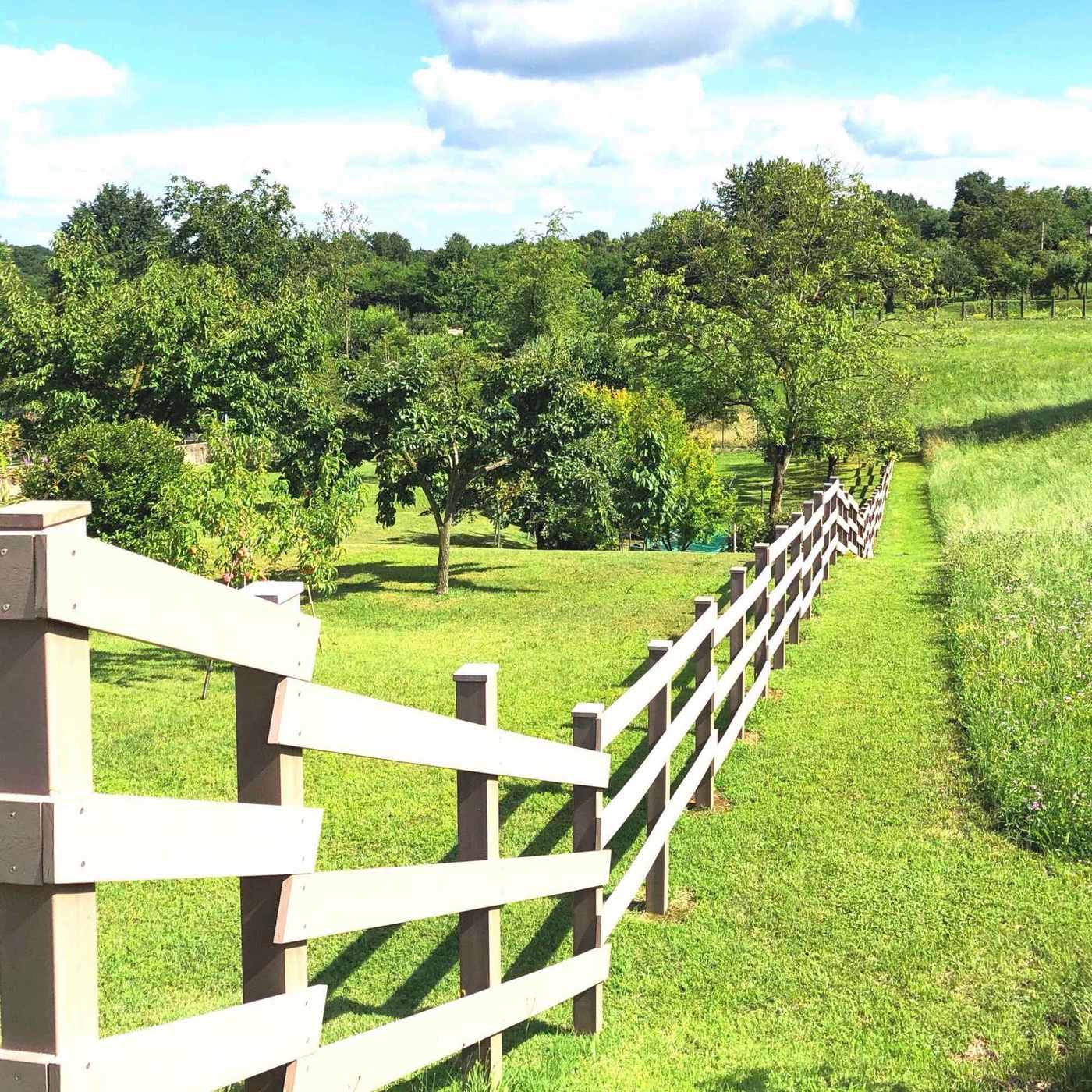 Artgerechte Pferdehaltung