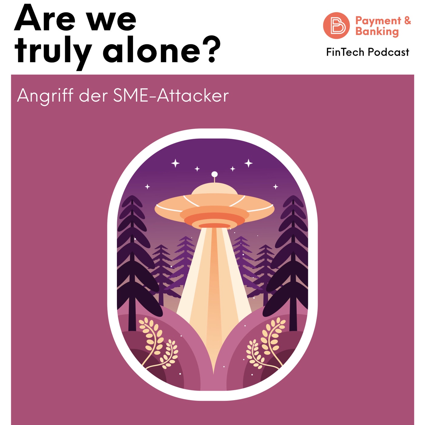 #396 Are we truly alone? Angriff der SME-Attacker
