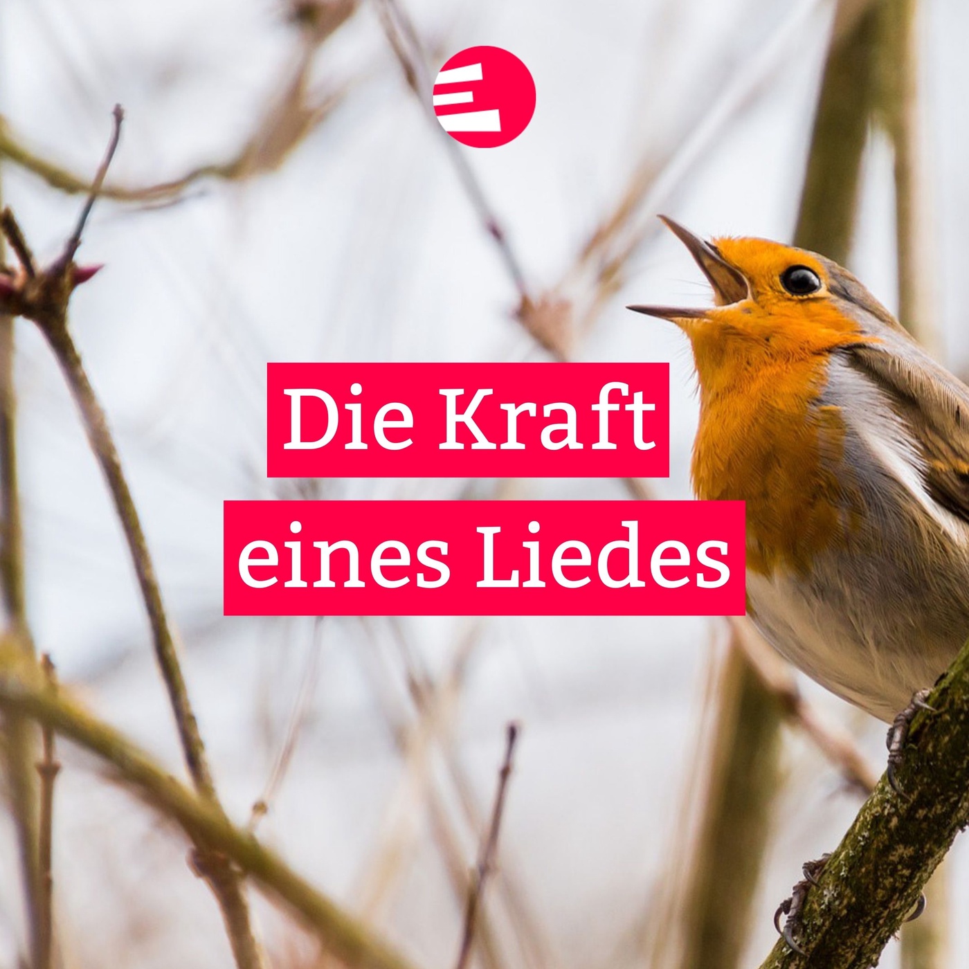 Die Kraft eines Liedes