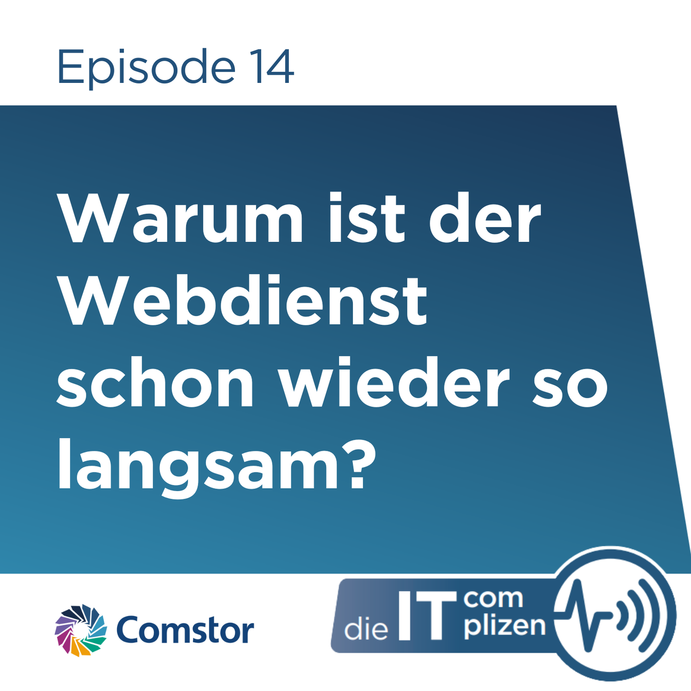 Warum ist der Webdienst schon wieder so langsam?