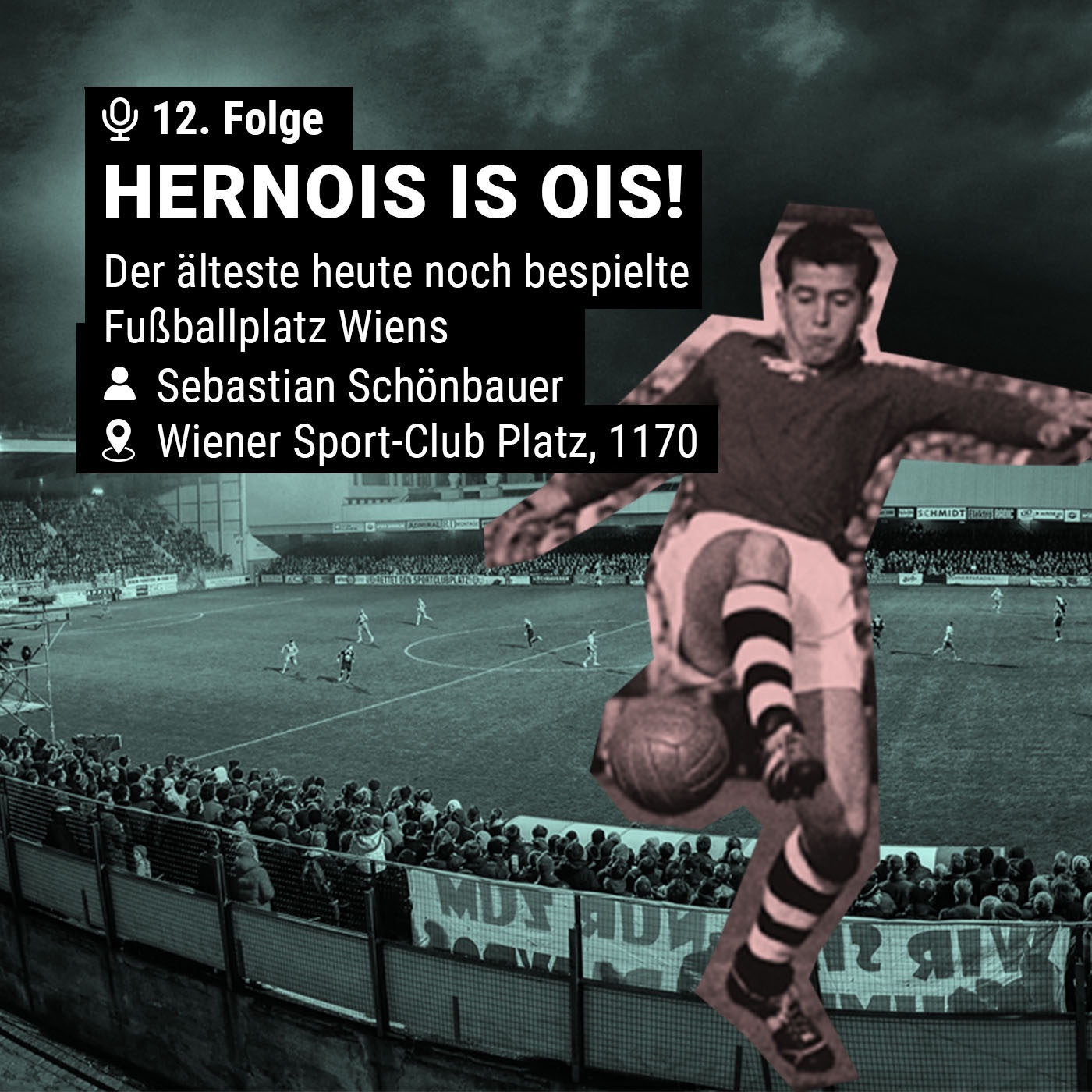 Heanois is ois! - Der Wiener Sport-Club