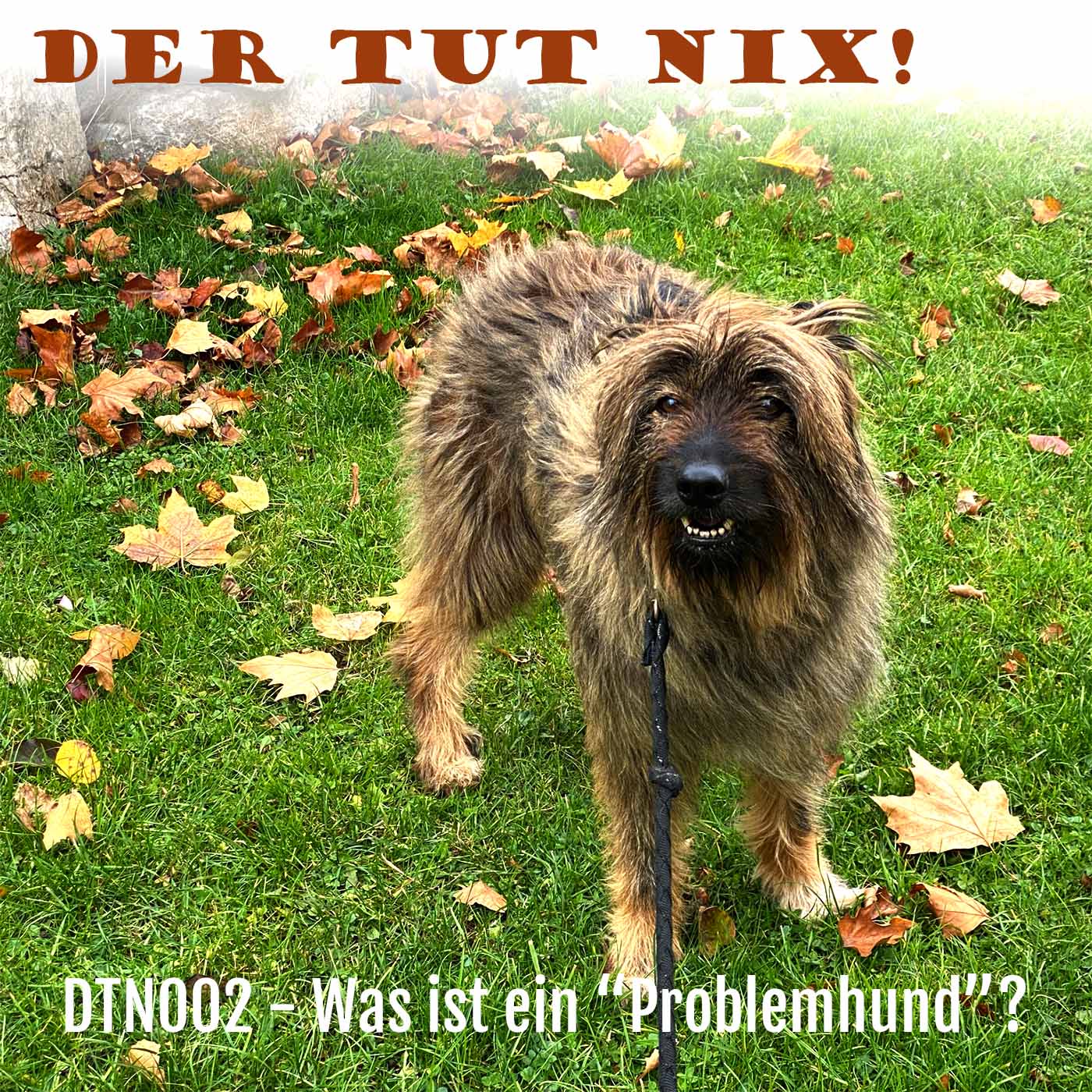 DTN002 - Was ist ein Problemhund?