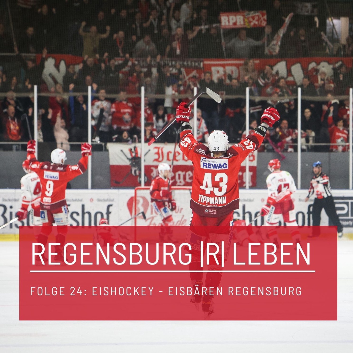 REGENSBURG |R| LEBEN - Folge 24 - Eishockey - Eisbären Regensburg