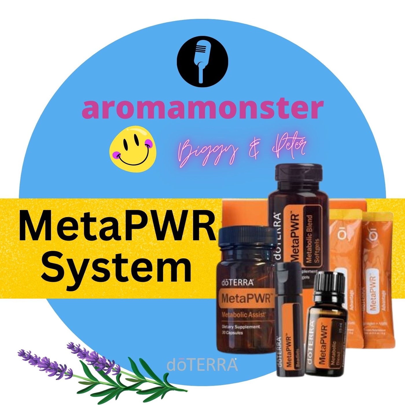 MetaPWR-System