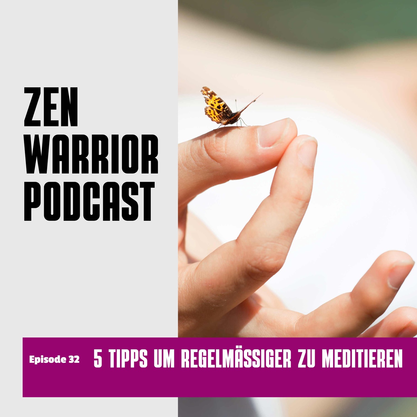 5 Tipps wie du regelmässiger meditieren kannst: Zen Warrior Podcast Episode #32