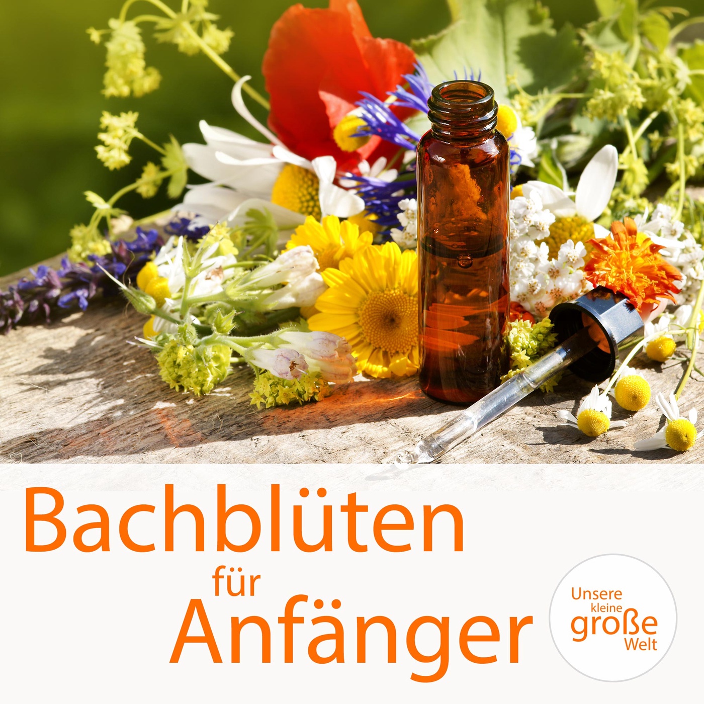 Bachblüten für Anfänger