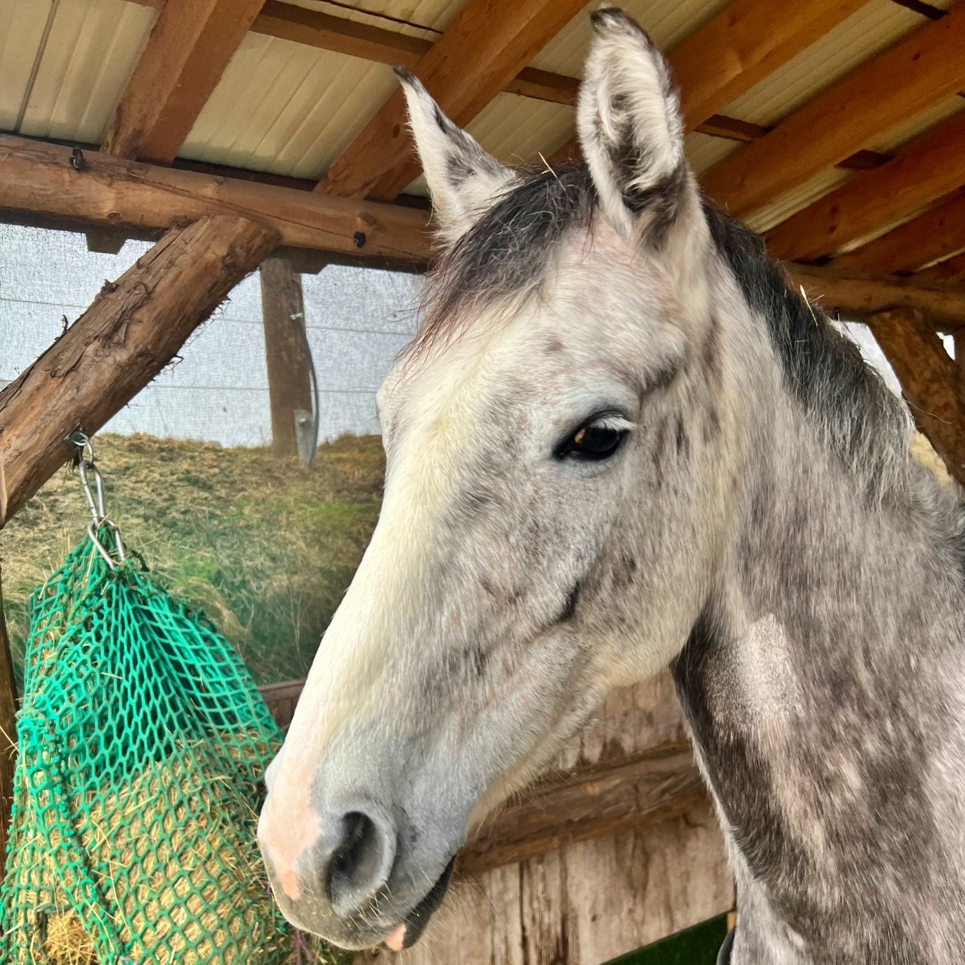 #422 Vom Boxenstopp zurück ins Leben