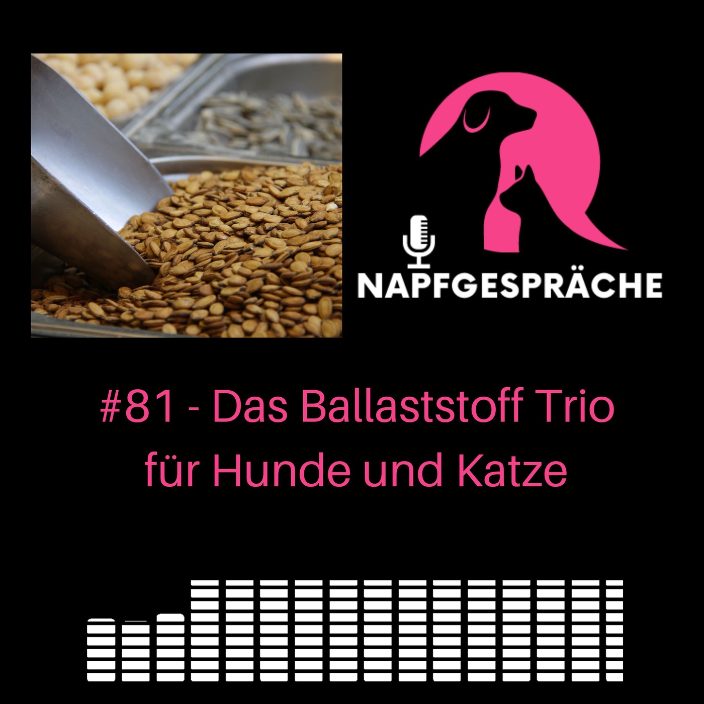 81 - Das Ballaststoff Trio für Hunde und Katzen