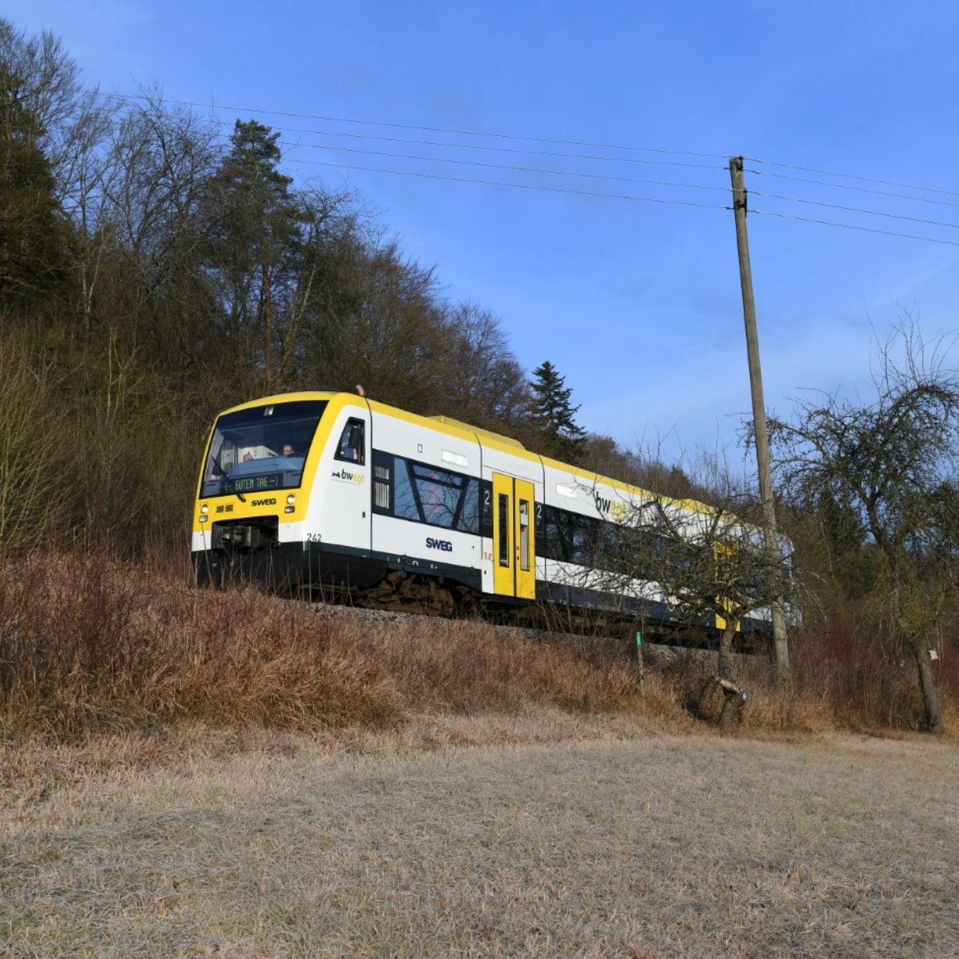 Fledermäuse, Steinkrebse & 40 Jahre Stillstand: Die unglaubliche Geschichte der Hermann-Hesse-Bahn