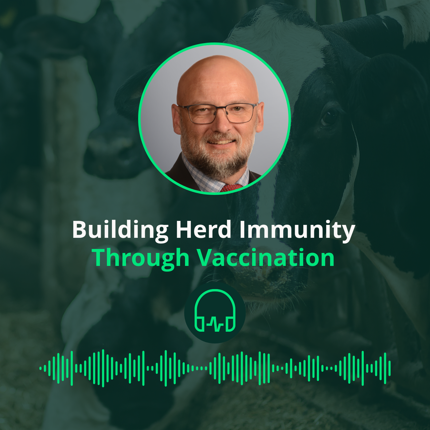 Building herd immunity through vaccination || Développer l’immunité du troupeau par la vaccination