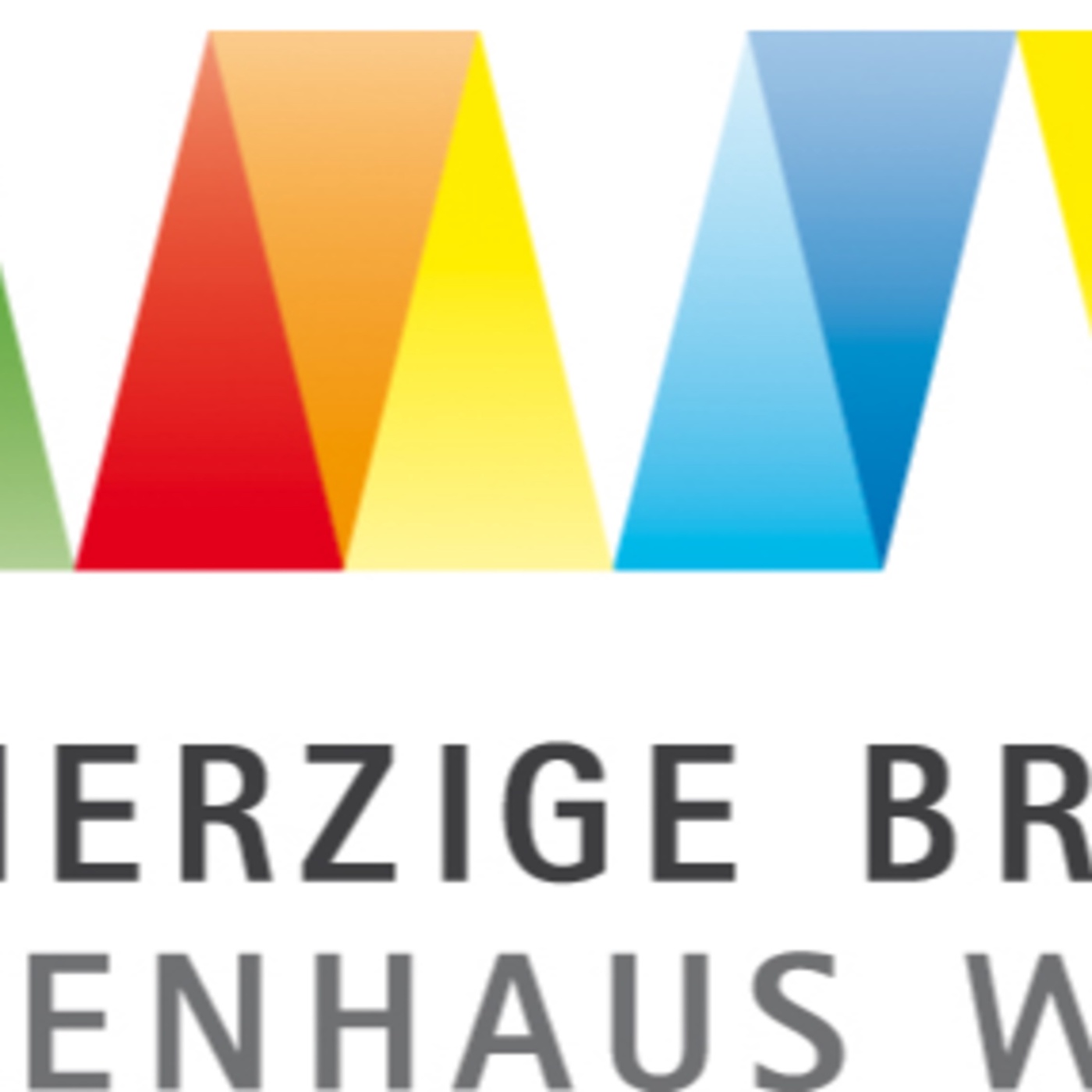 P. Thomas Pham, Prior des Krankenhauses der Barmherzigen Brüder in Wien