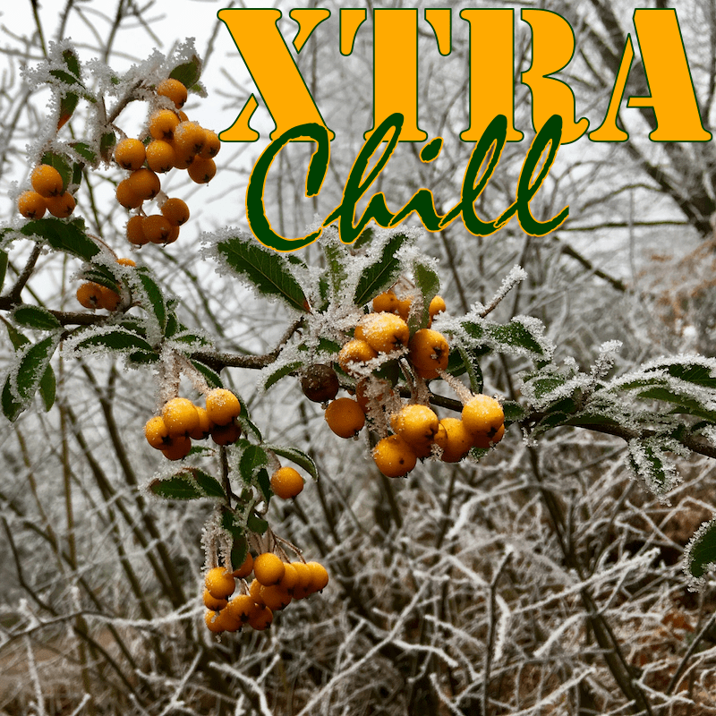 XtraChill 292