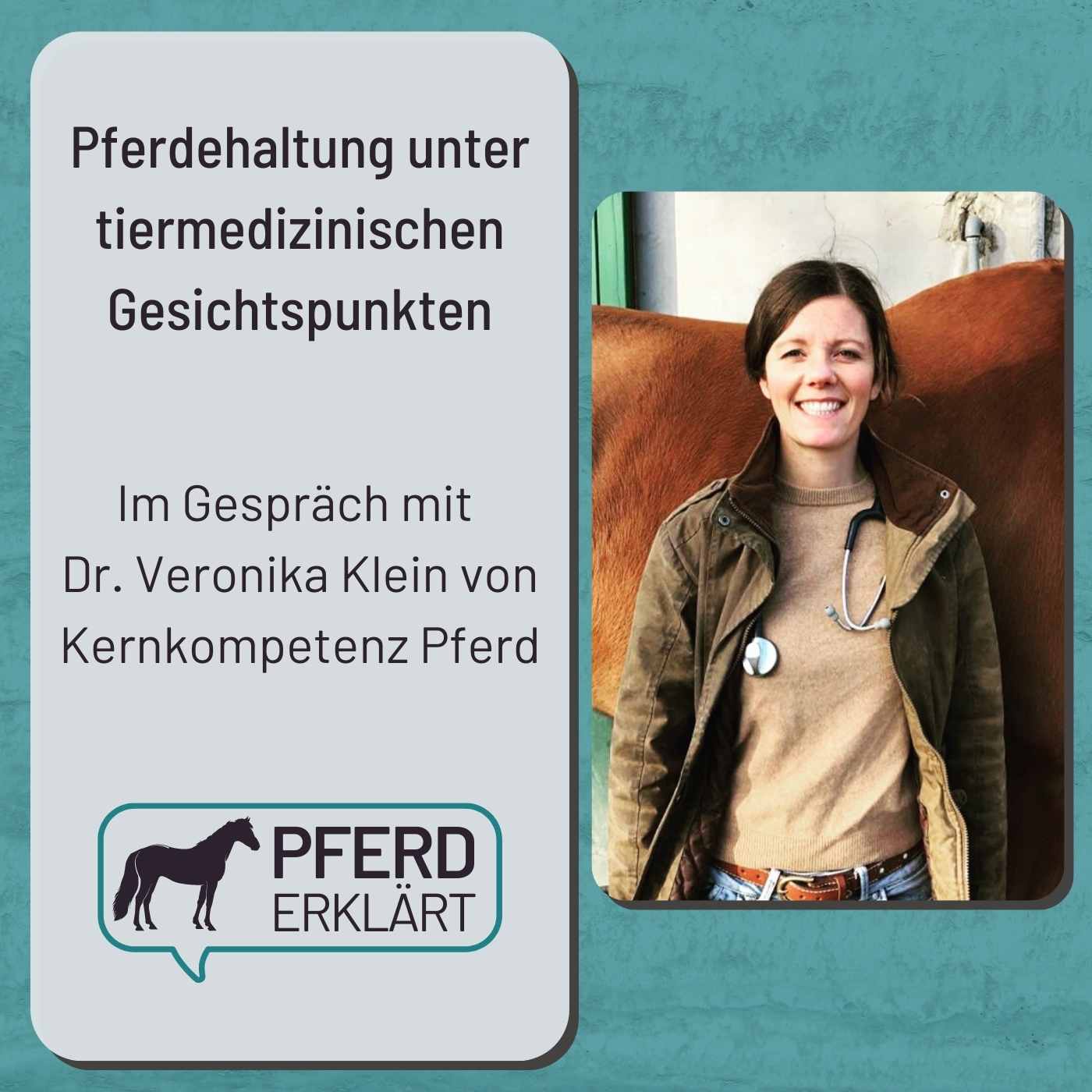 Pferdehaltung aus tiermedizinischer Sicht: Im Gespräch mit Dr. Veronika Klein von Kernkompetenz Pferd