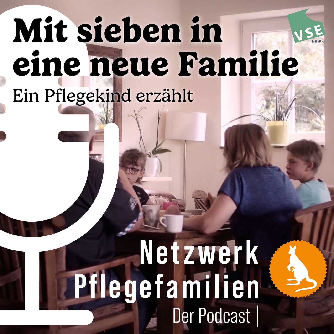 Mit sieben in eine neue Familie - Ein Pflegekind erzählt