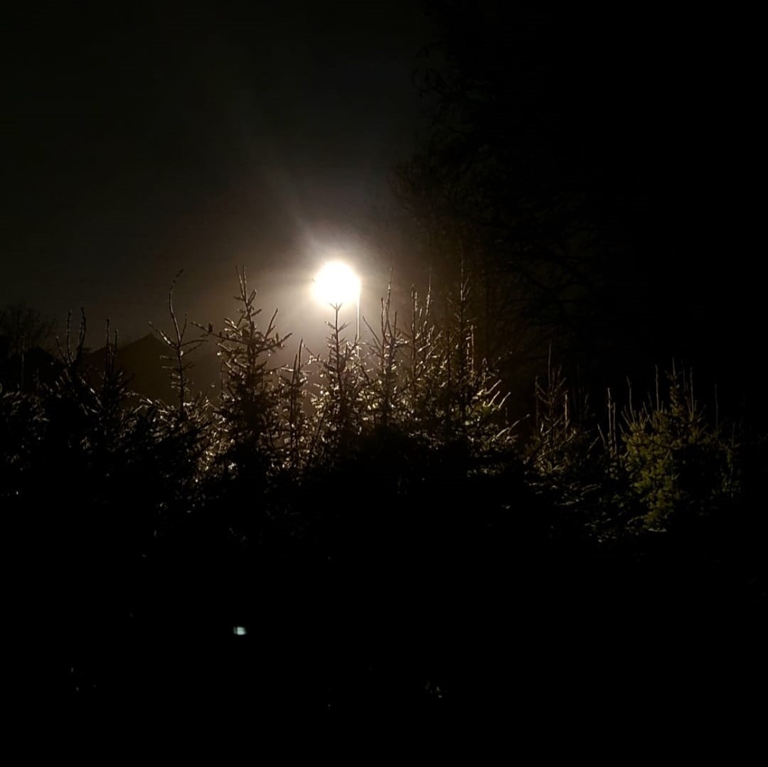 Jesus, der Gesandte Gottes schlechthin, ist das Licht der Welt