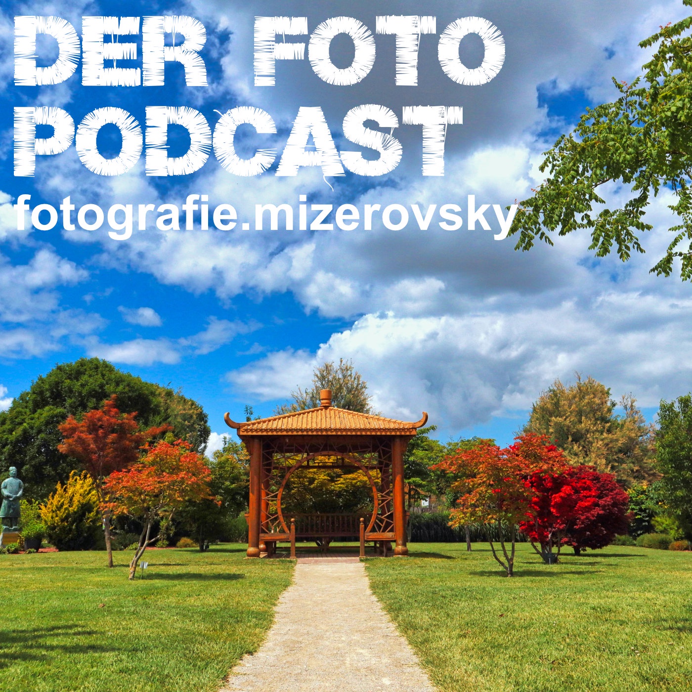 Die beste Foto Kamera für dich?