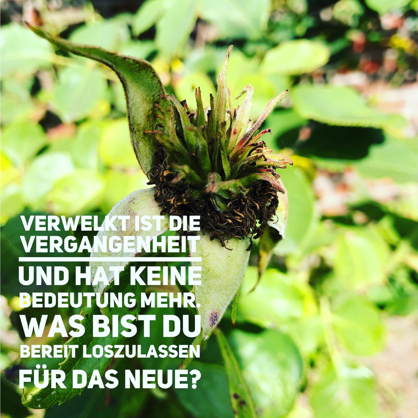 #38 Vergangenheit ist gewesen