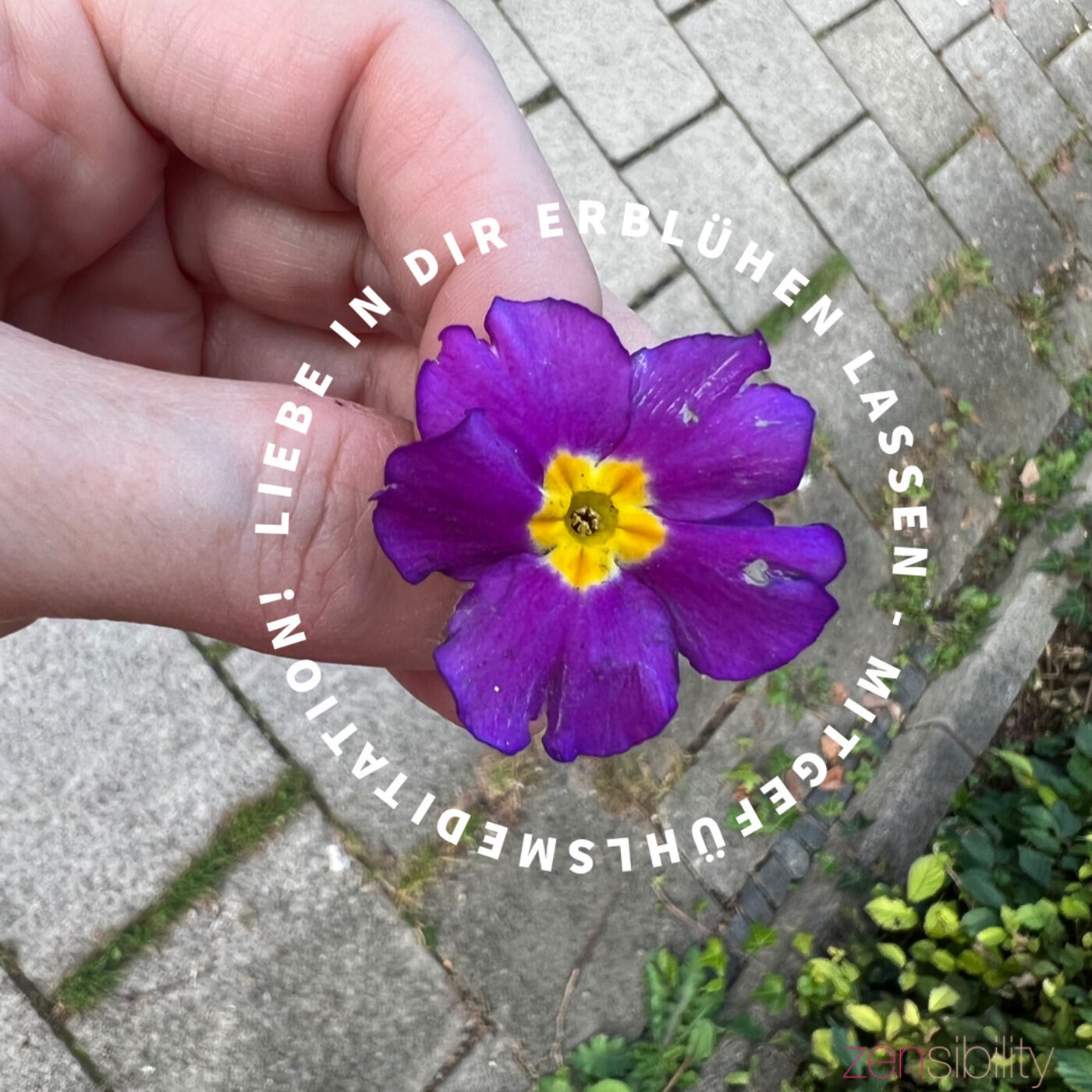 Abbau energetischer Spannung - Mettameditation