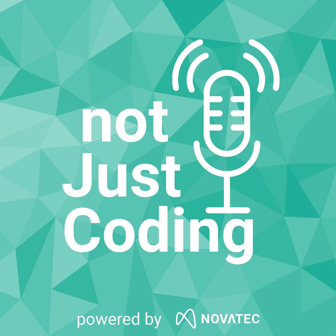 notJustCoding - Der Podcast für IT, Tech & Digitalisierung