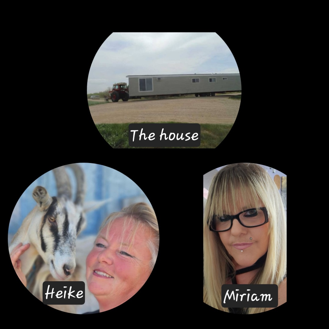 Das Leben als Auswanderer in Kanada / die erste Zeit auf der Farm Teil 3