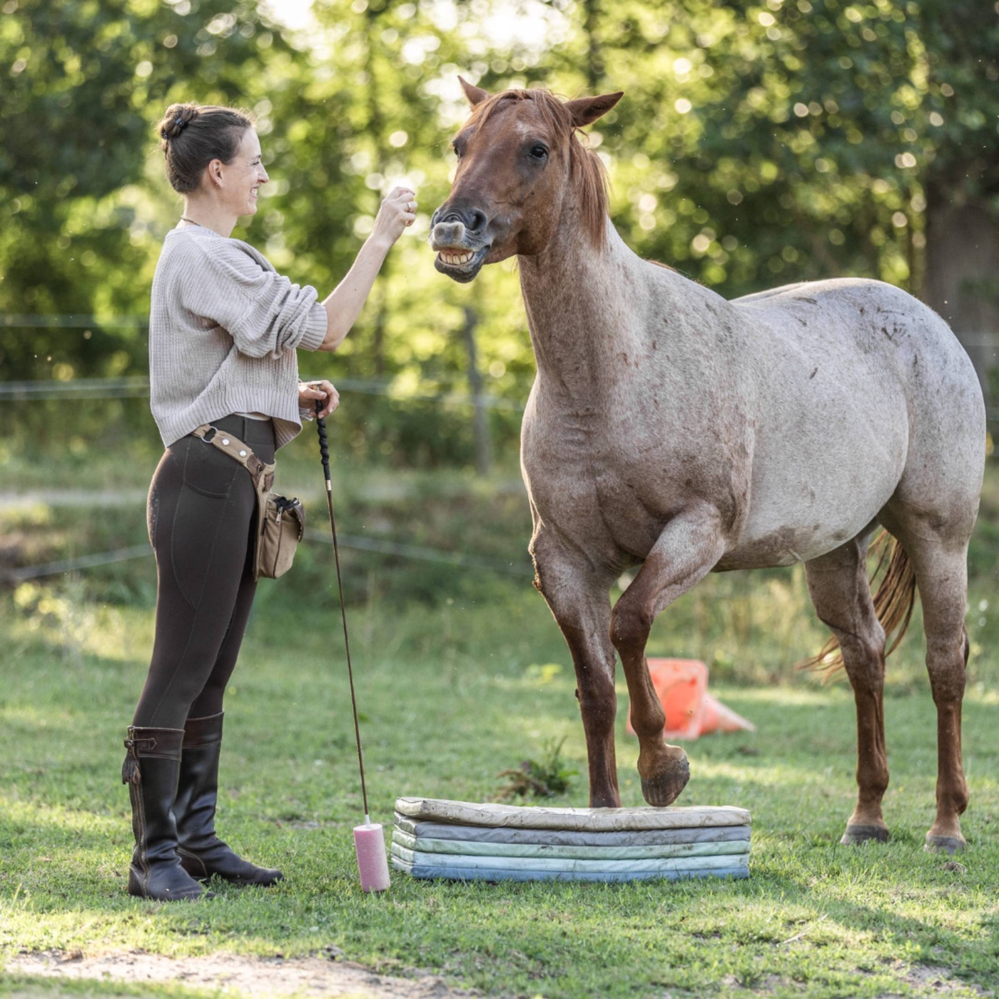 Das richtige Timing im Clickertraining