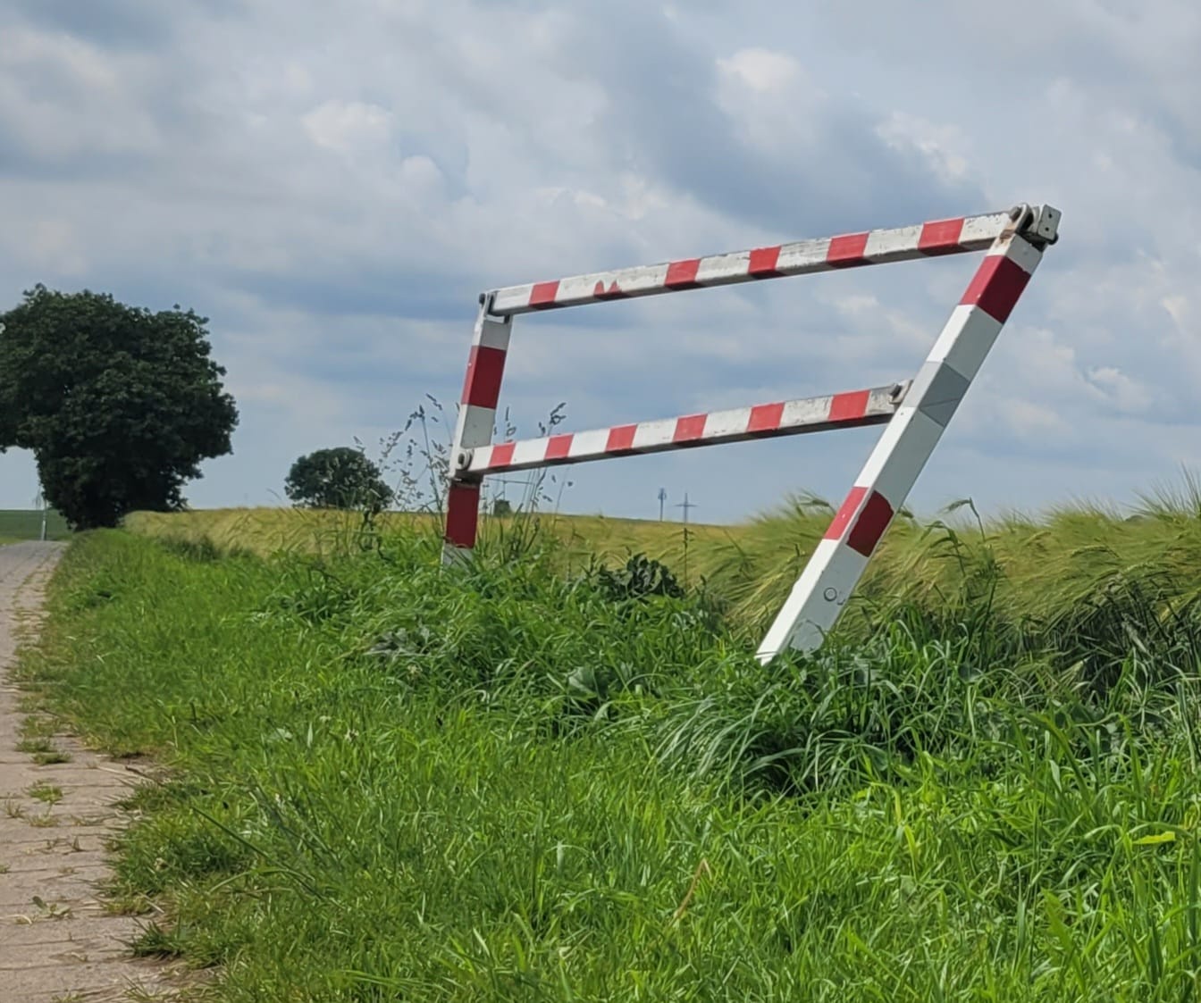 Name ist nicht Schall und Rauch