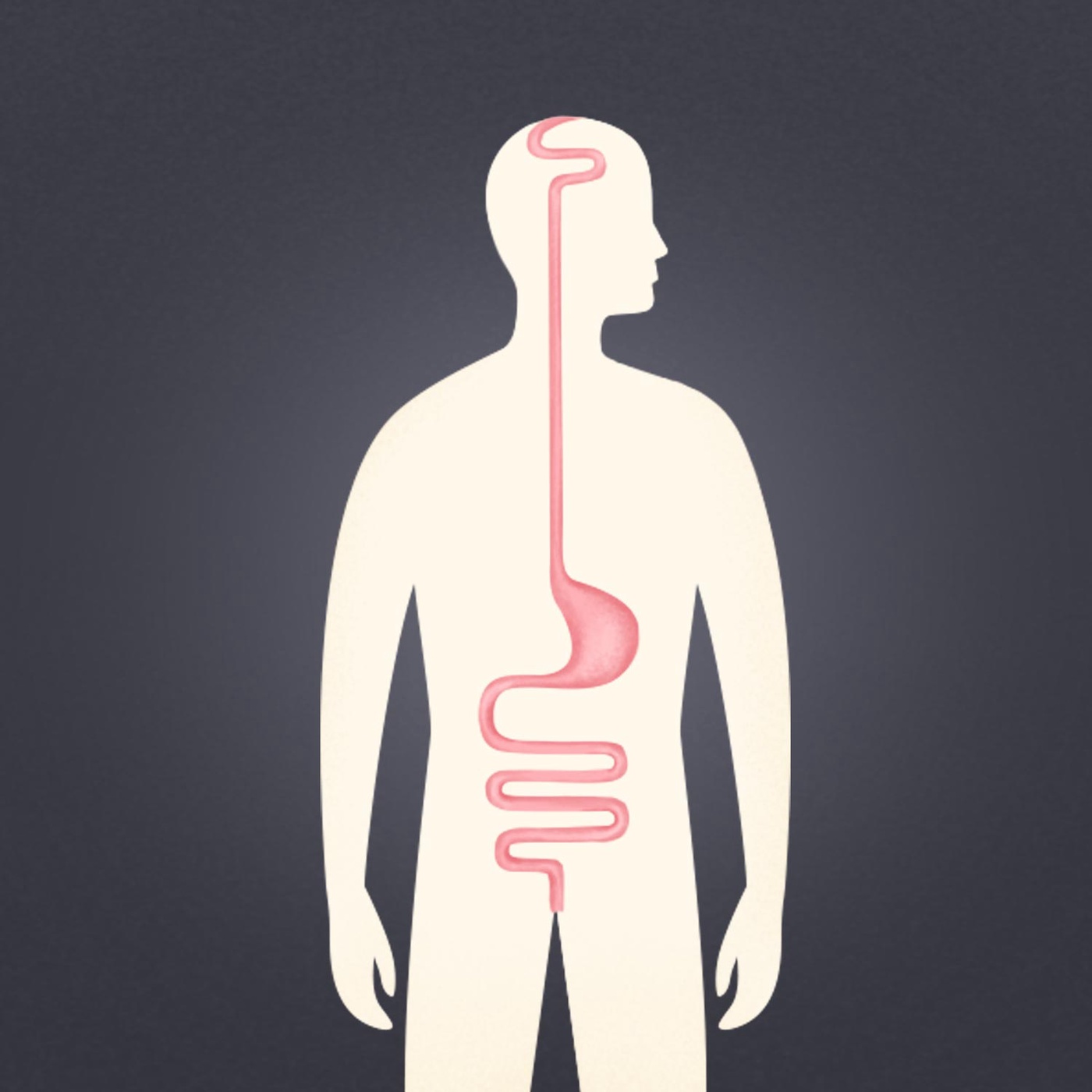 The Gut: Unlocking the Secrets to Digestive Health and Overall Well-Being